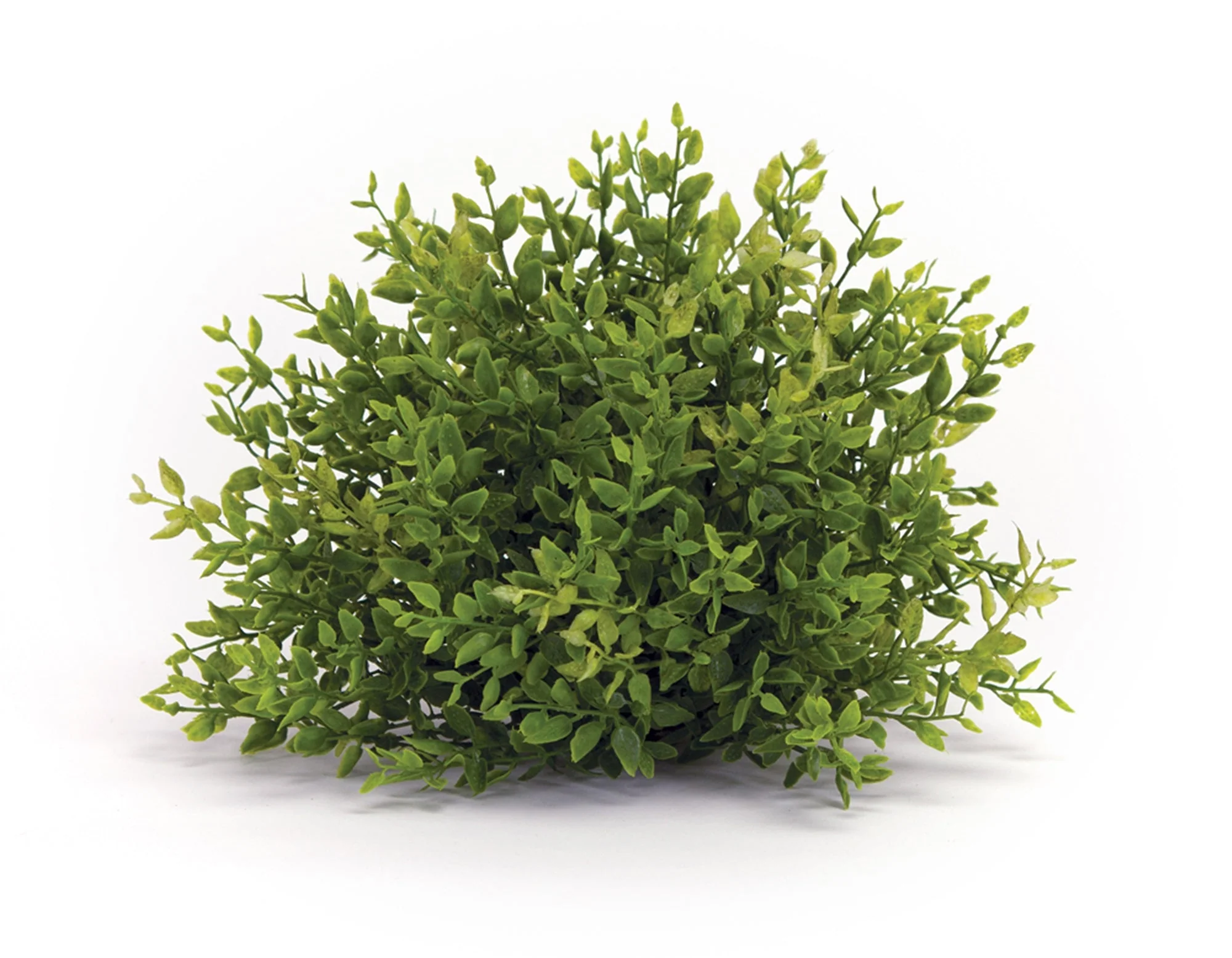 Spring Mini Leaf Foliage Half Orb (Set of 6) - Image 2