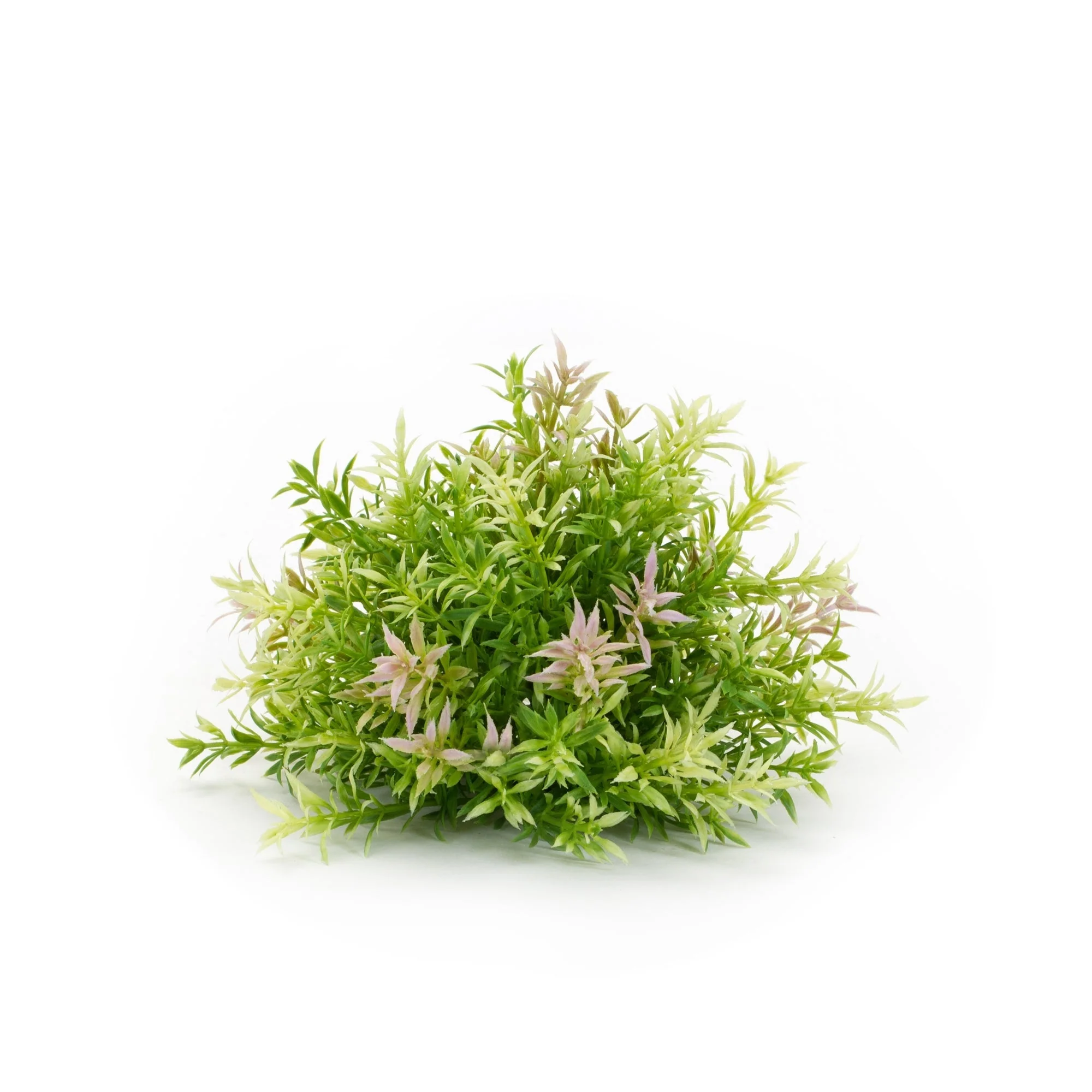 Mini leaf half orb (set of 6) - Image 3