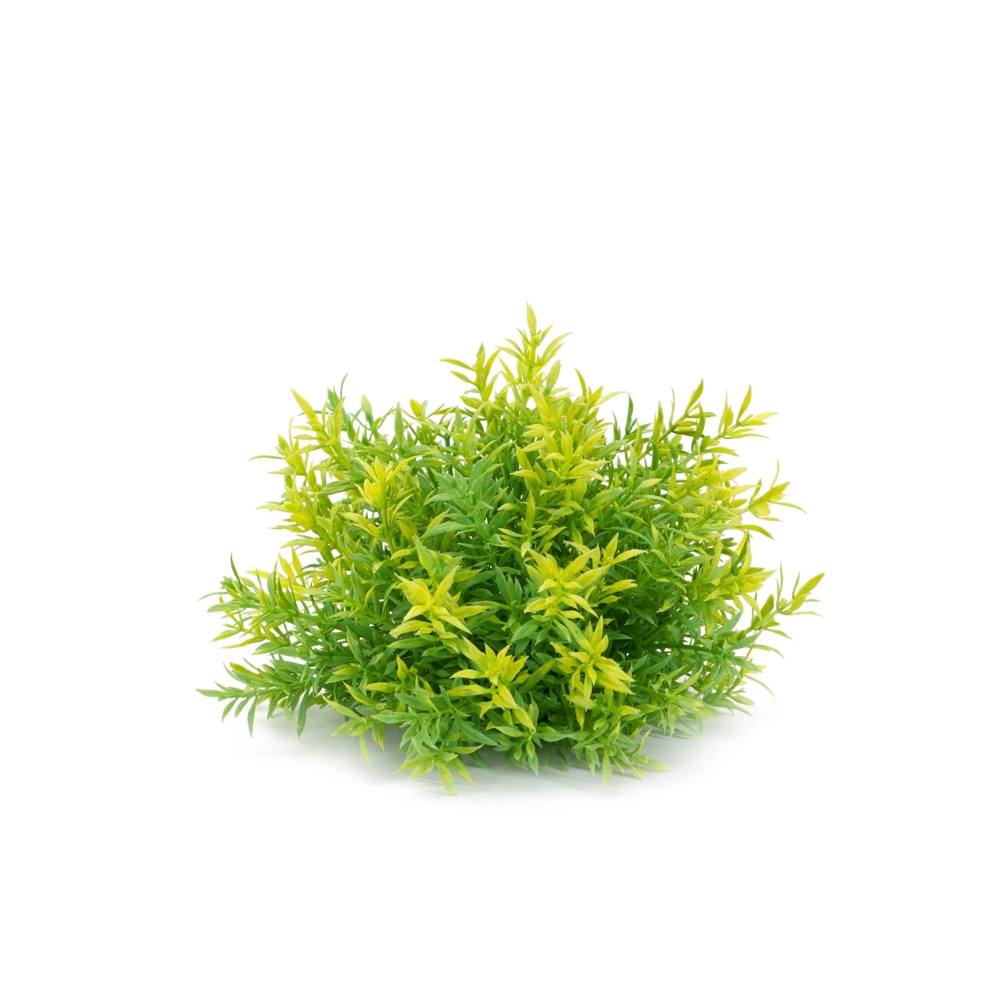 Mini leaf half orb (set of 6) - Image 4