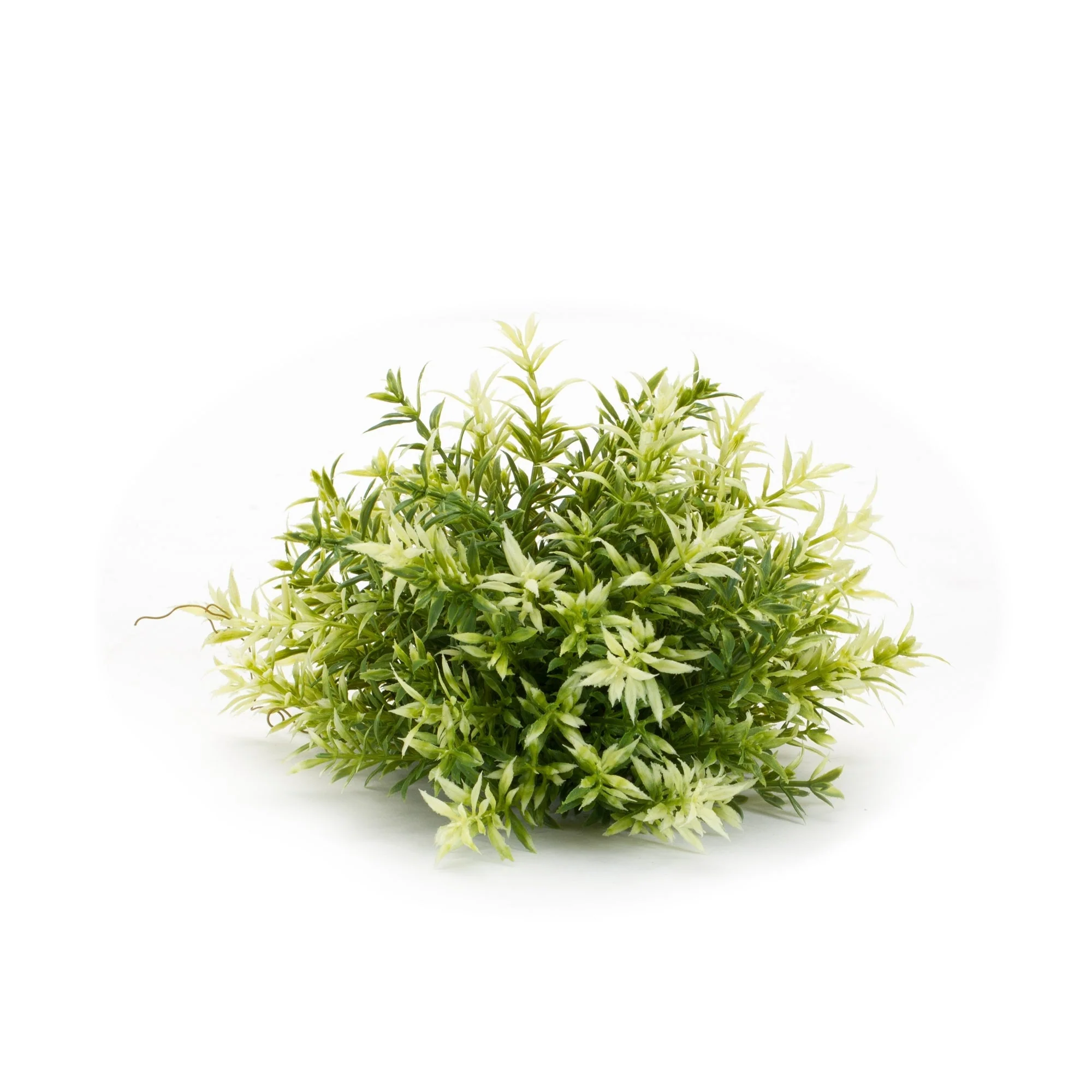 Mini leaf half orb (set of 6) - Image 5