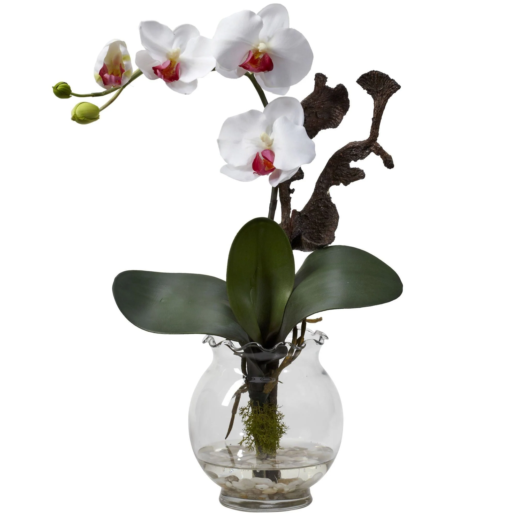 Mini Phalaenopsis w/Fluted Vase Silk Flower Arrangement - Image 2