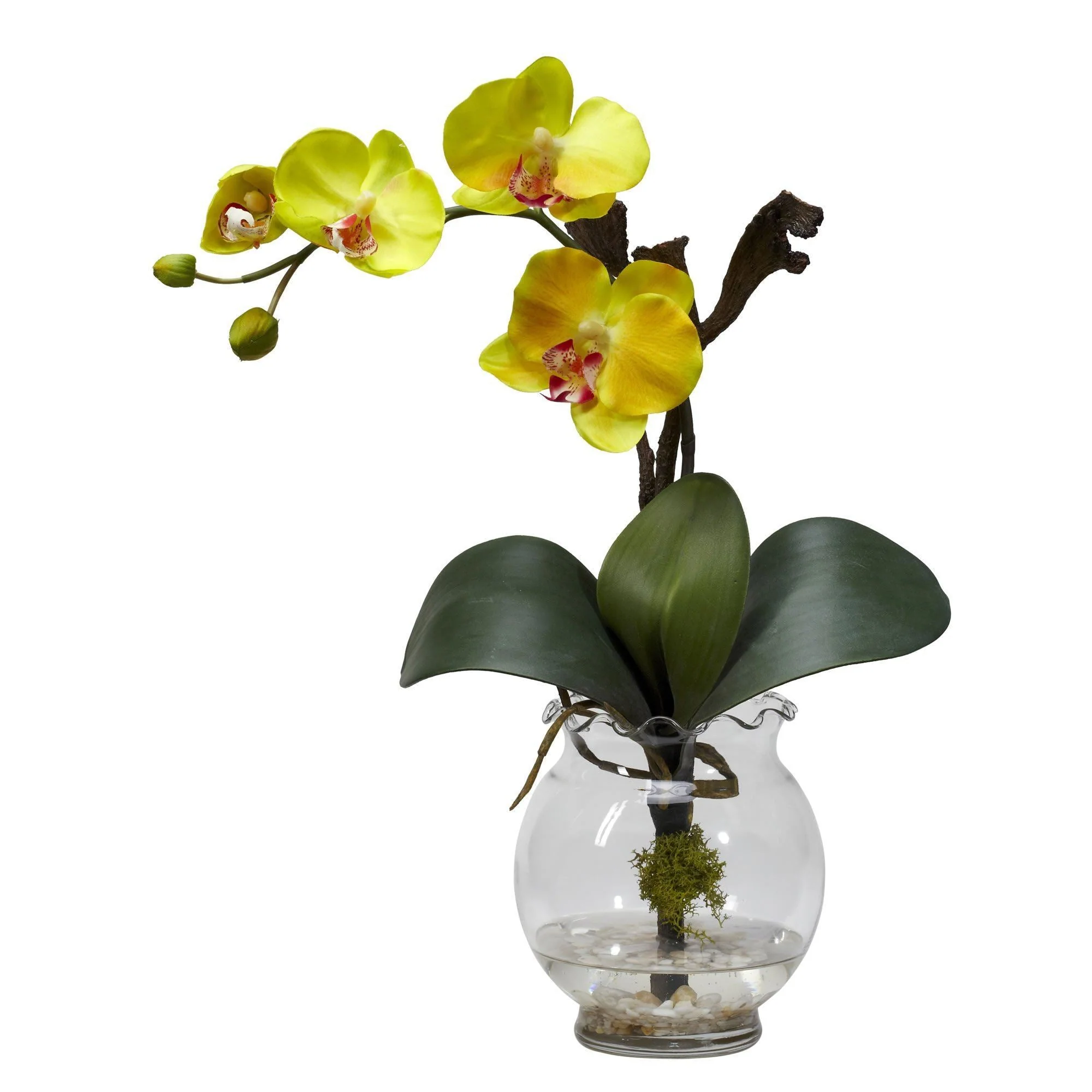 Mini Phalaenopsis w/Fluted Vase Silk Flower Arrangement - Image 3