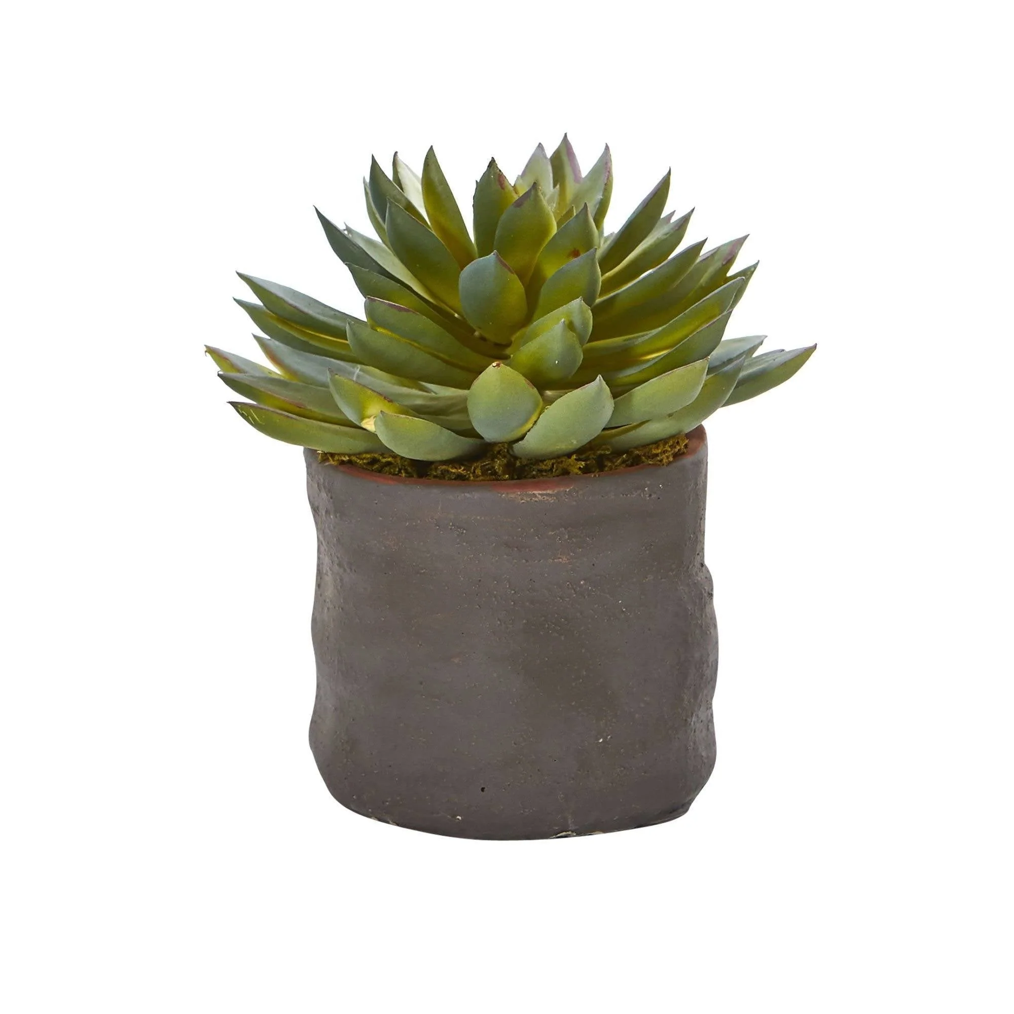 Mixed Succulent Trio Artificial Plant (Set of 3) - Image 2