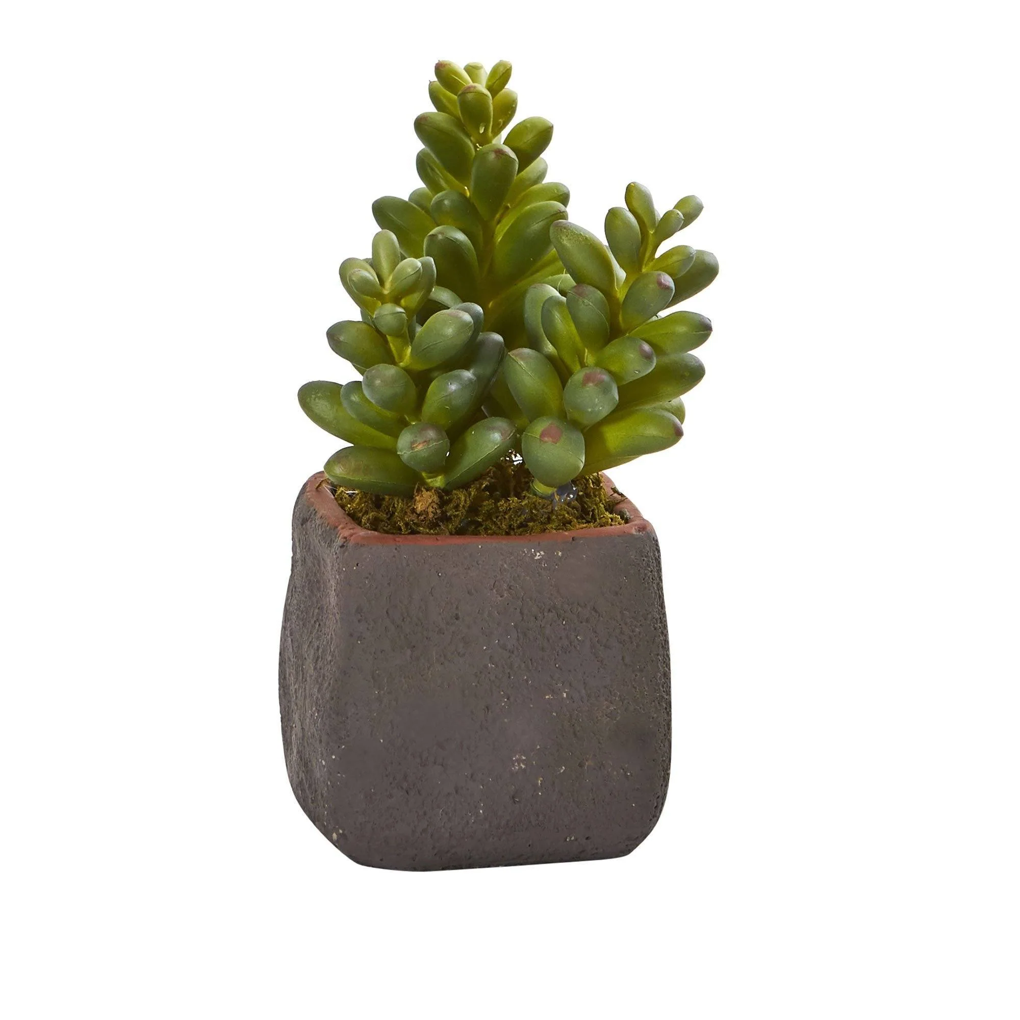 Mixed Succulent Trio Artificial Plant (Set of 3) - Image 3