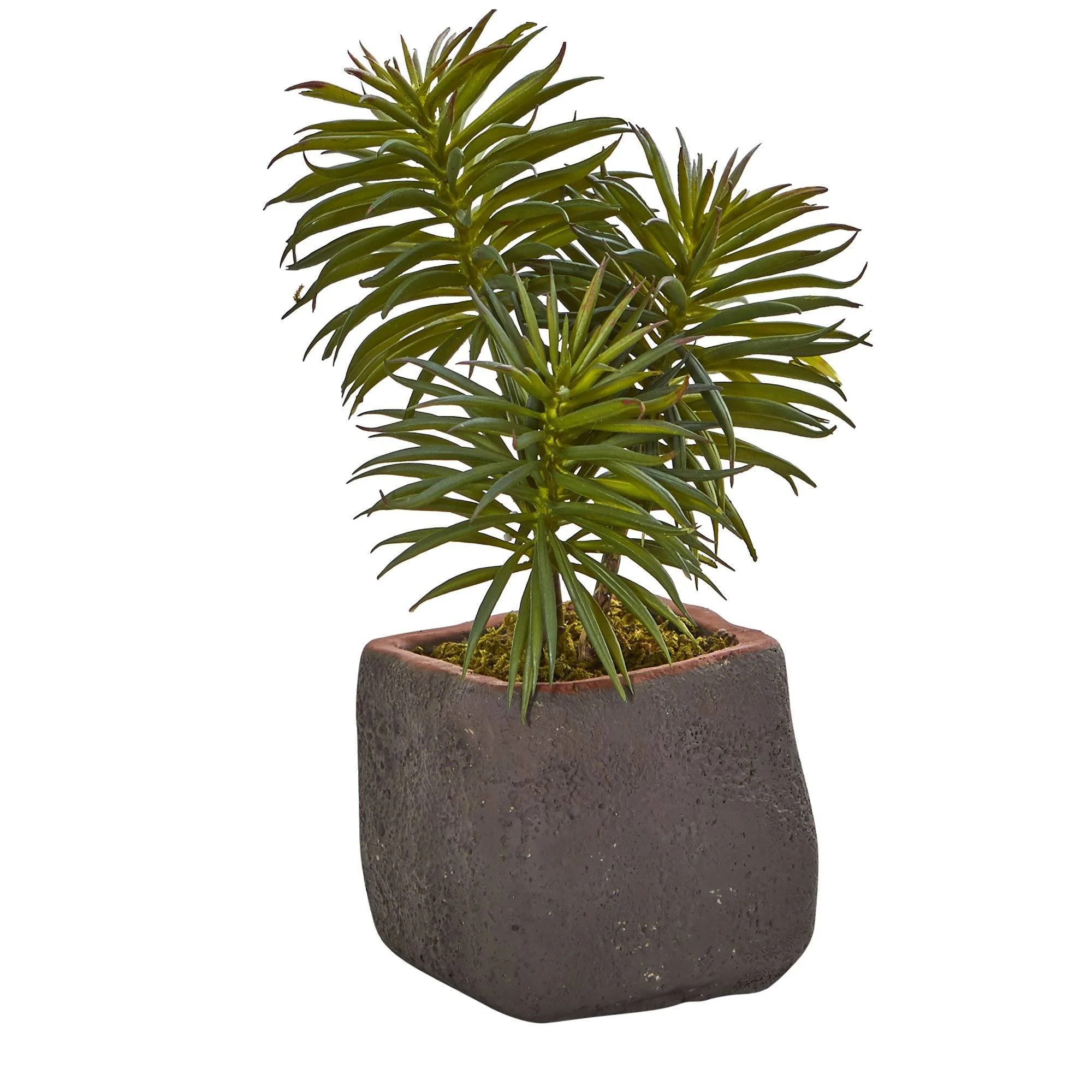 Mixed Succulent Trio Artificial Plant (Set of 3) - Image 4