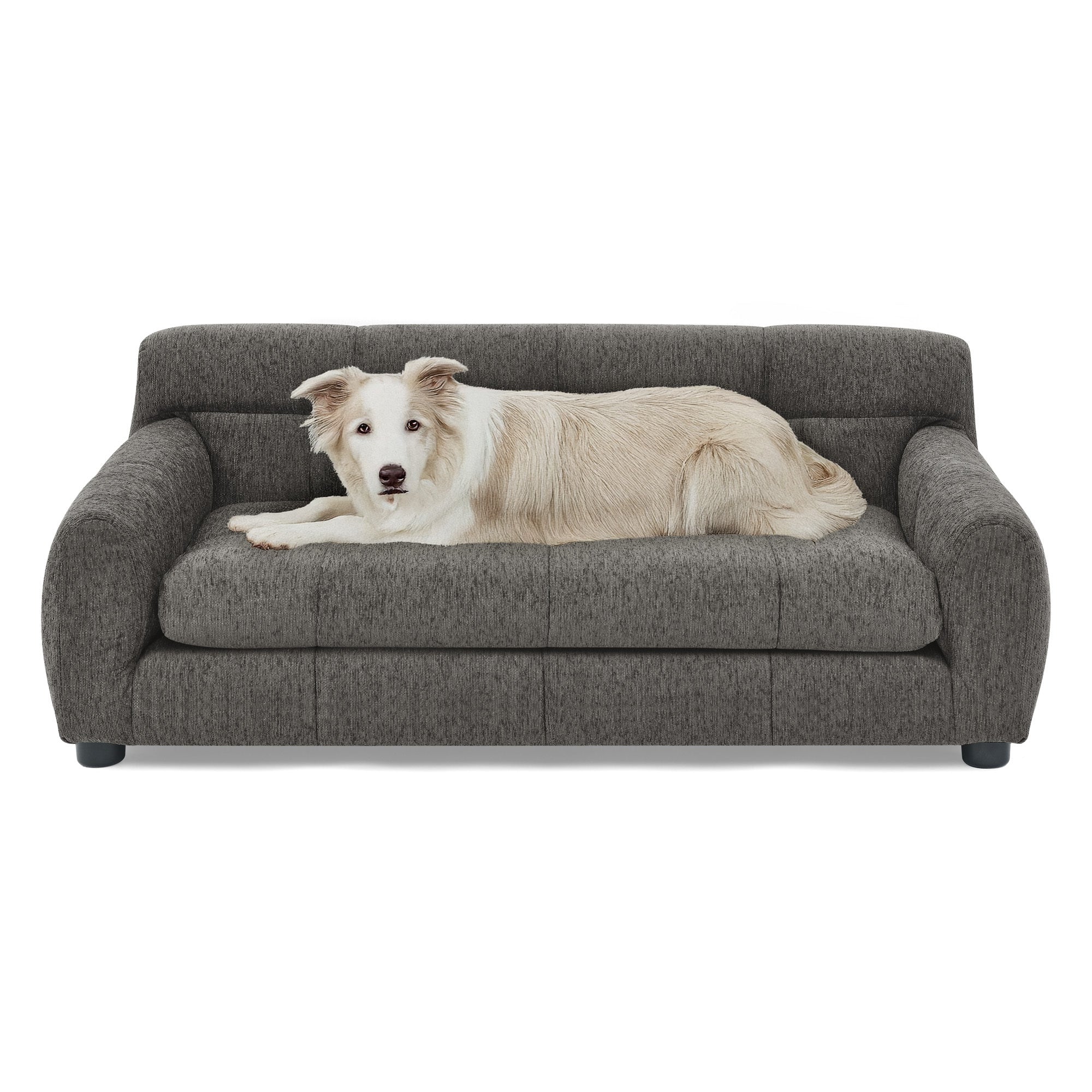 Modern Dark Gray Pet Sofa with Backrest and Armrests - Image 7