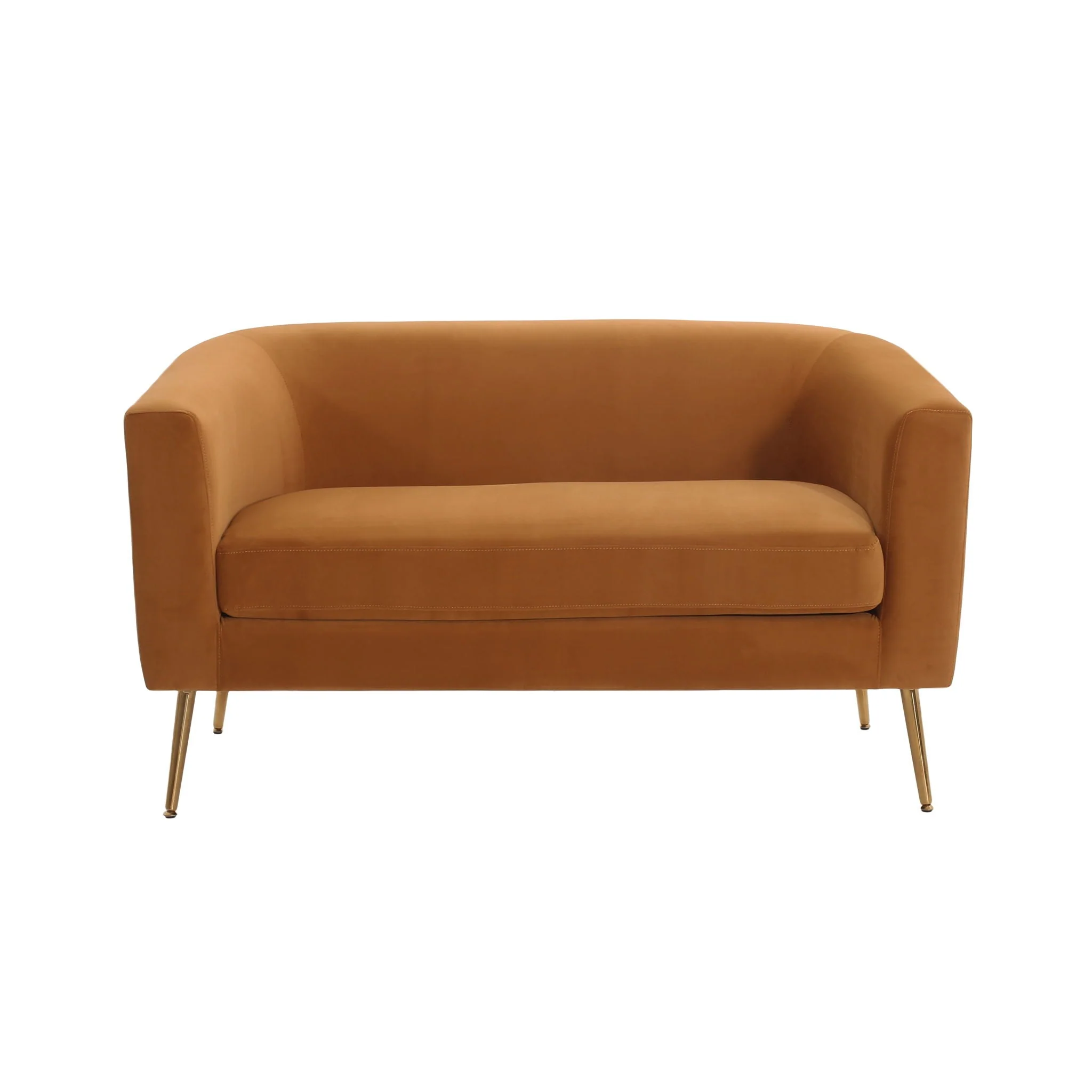 Modern Elegant Design Style Loveseat - Image 2