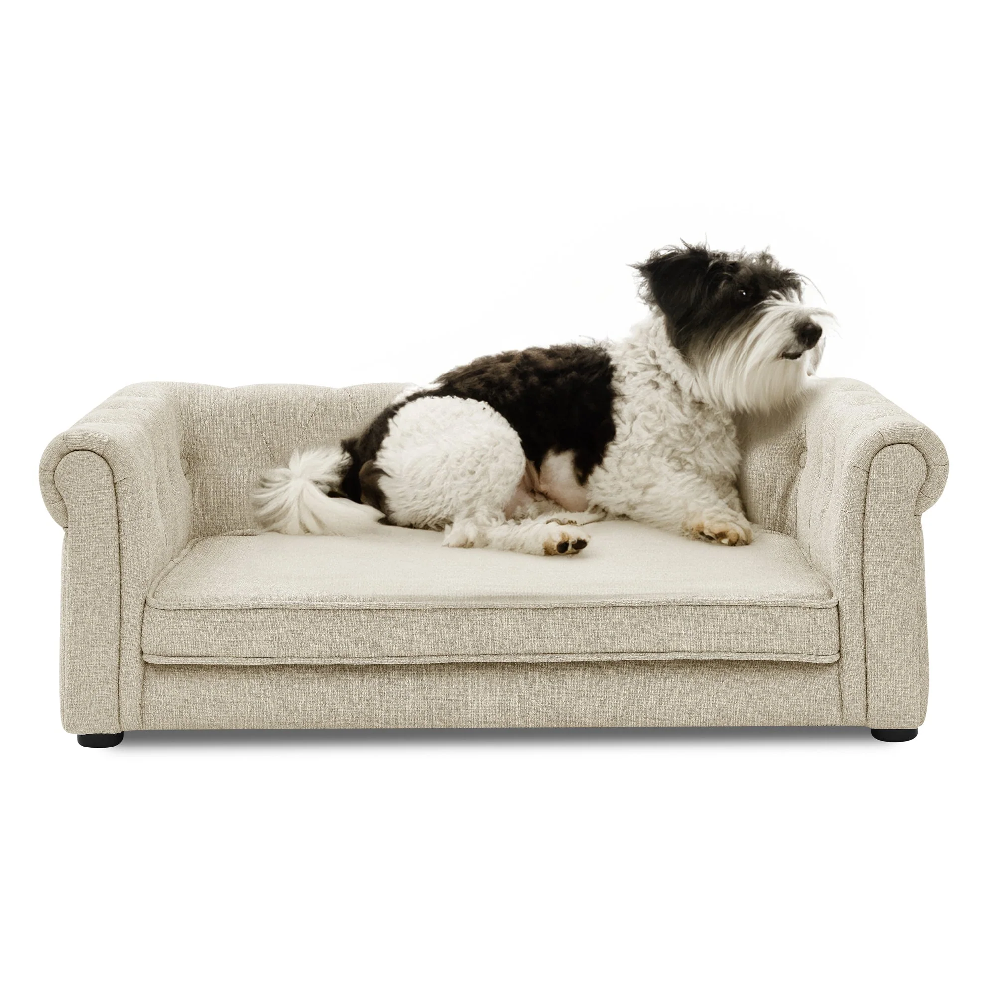 Modern Elegant Rectangle Elevated Pet Bed - Image 10