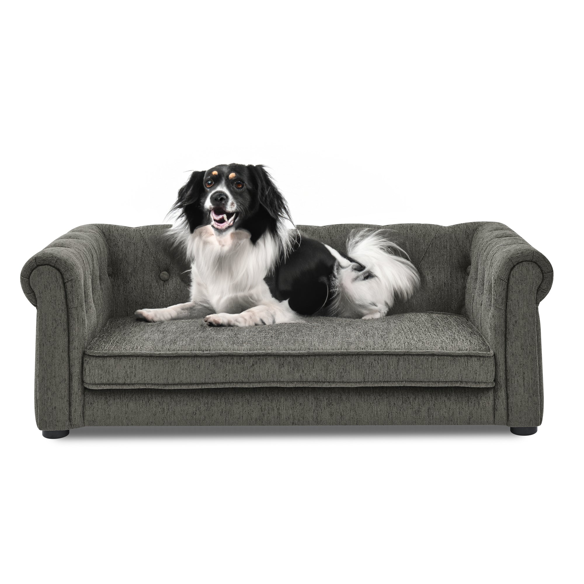 Modern Style Elegant Rectangle Pet Bed for Small and Medium Dogs - Image 9