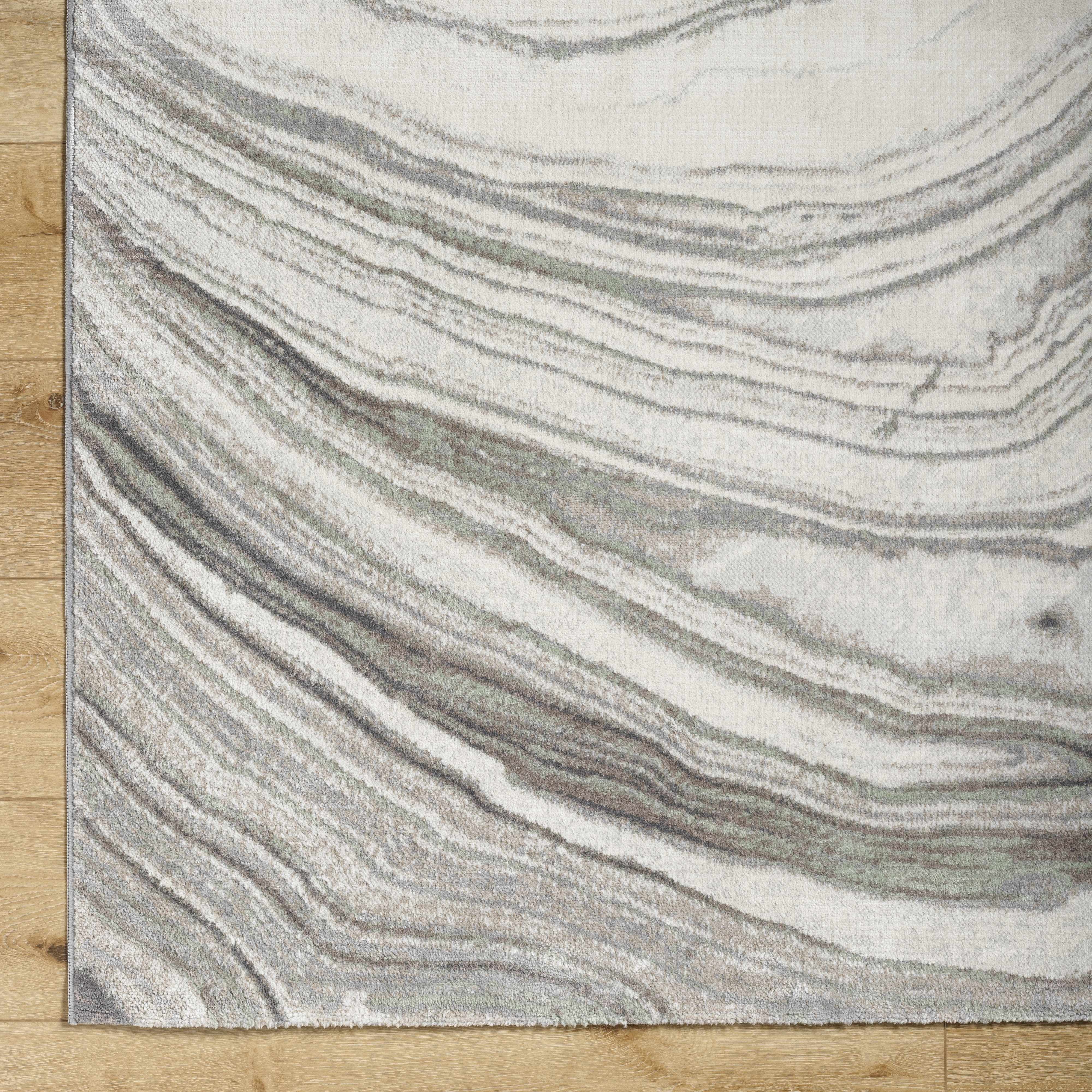 Mojil Area Rug - Image 5