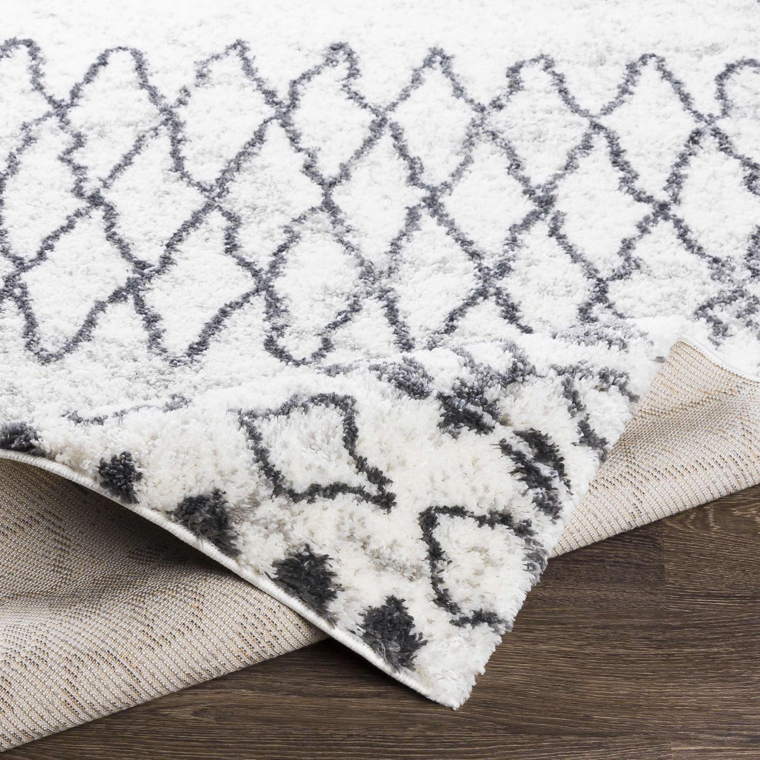 Moulden Area Rug - Promo - Image 5