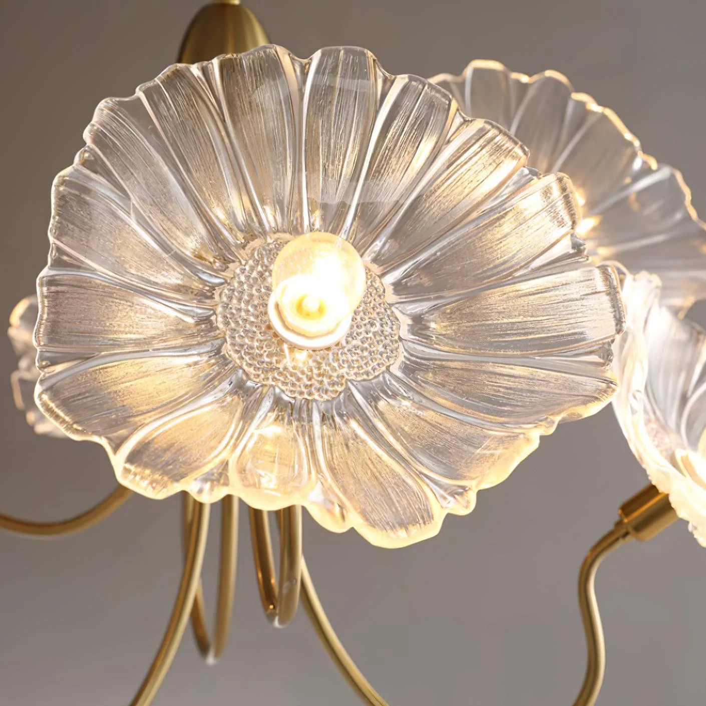 Murano Glass Flowers Chandelier Frosted Leaf Ceiling Light - Image 22