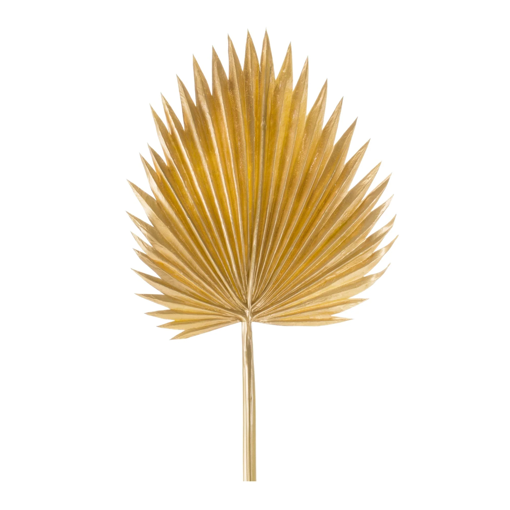 Natural gold fan palm leaf (set of 6) - Image 2