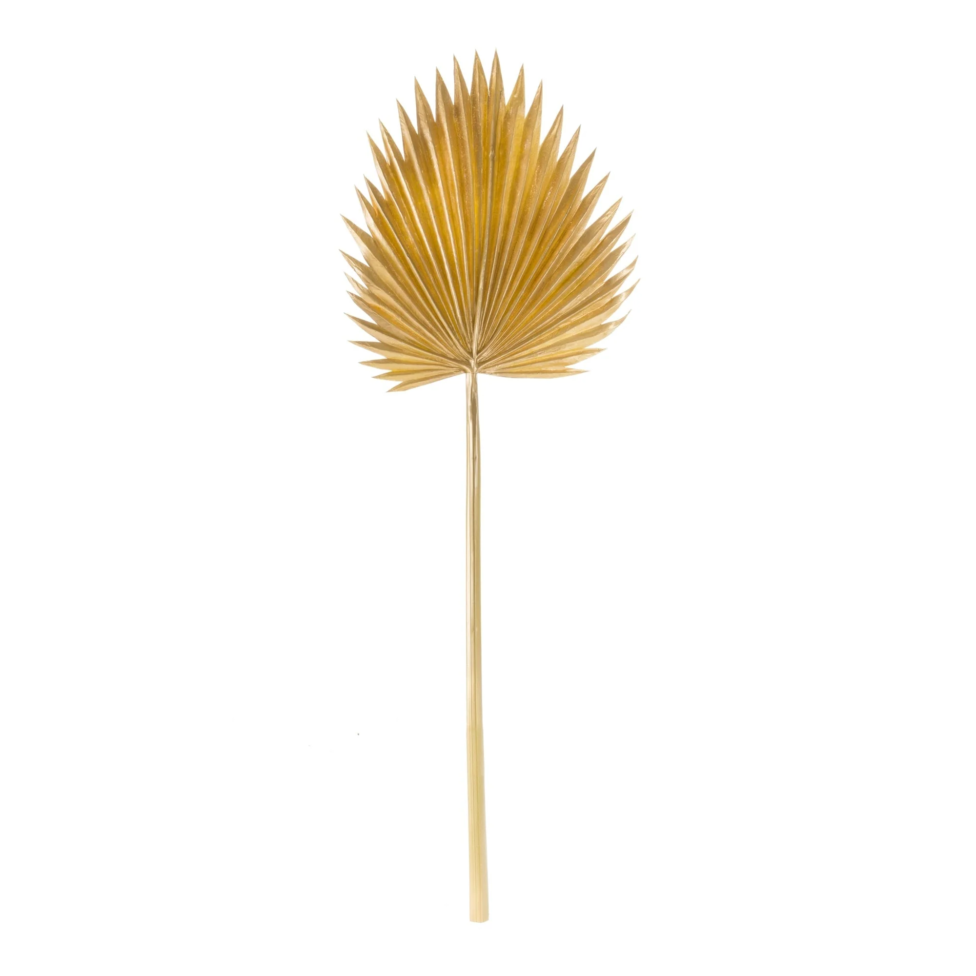 Natural gold fan palm leaf (set of 6) - Image 3