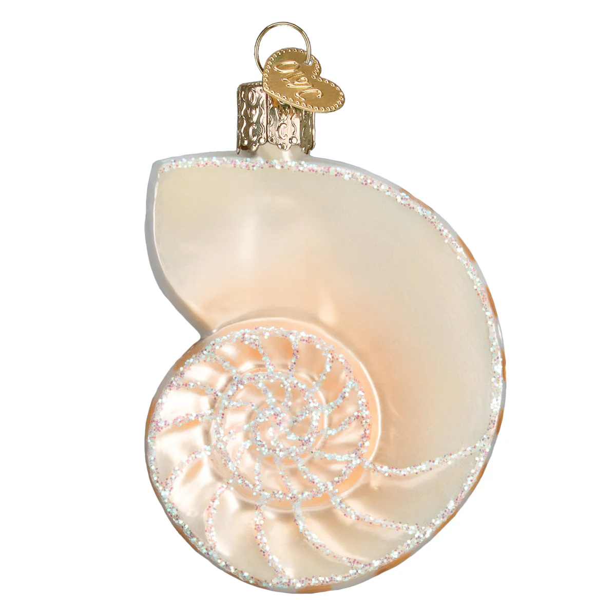 Nautilus Shell Ornament 3.25 x 3 x 3.25 - Image 3