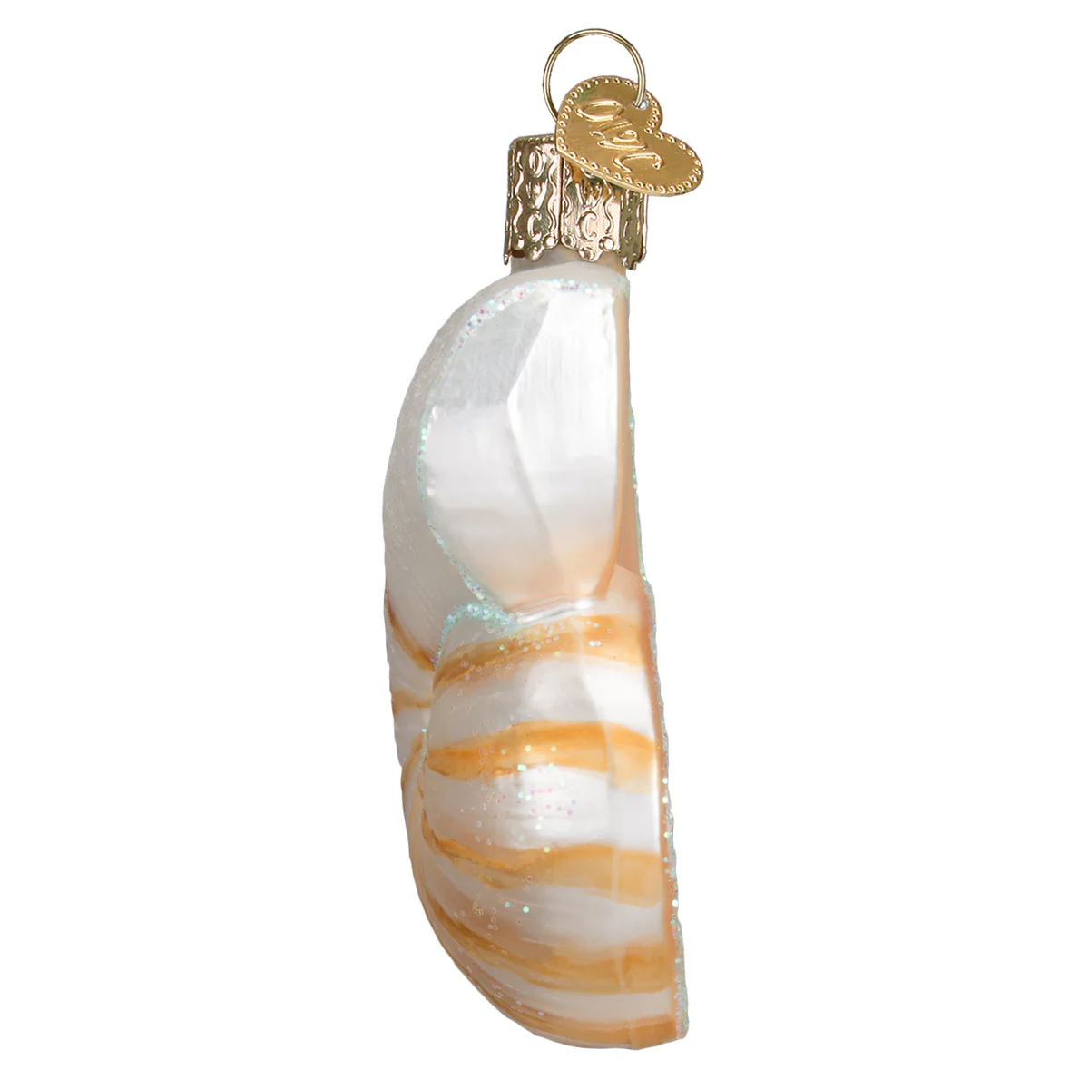 Nautilus Shell Ornament 3.25 x 3 x 3.25 - Image 5