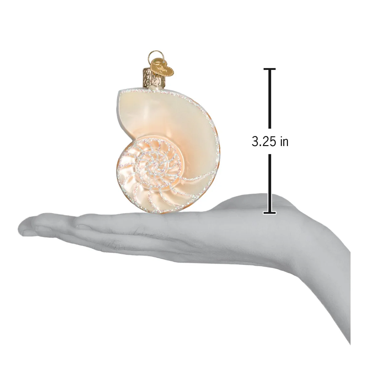Nautilus Shell Ornament 3.25 x 3 x 3.25 - Image 6