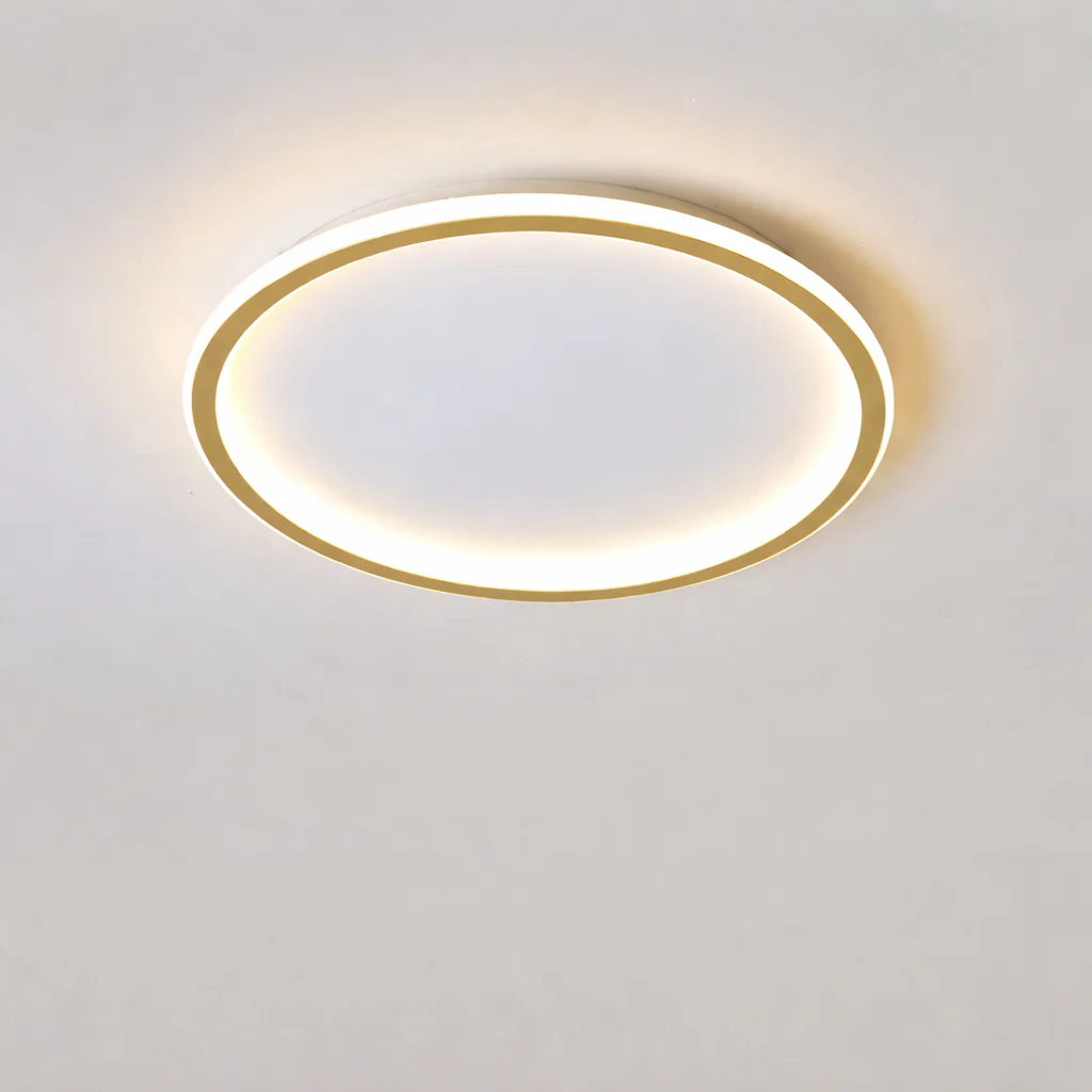 Nordic Minimalist LED Ceiling Light Circular Remote Control Bedroom Living Room - Image 8