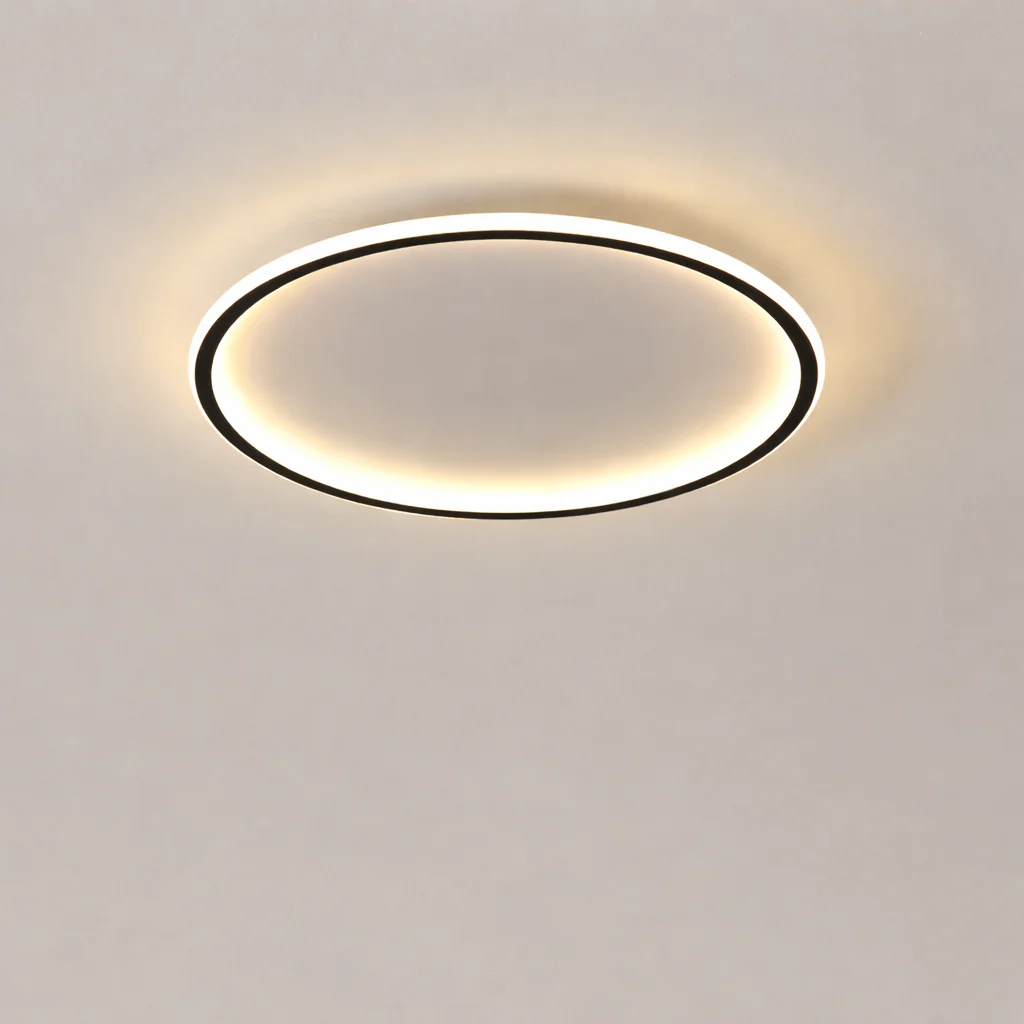 Nordic Minimalist LED Ceiling Light Circular Remote Control Bedroom Living Room - Image 9