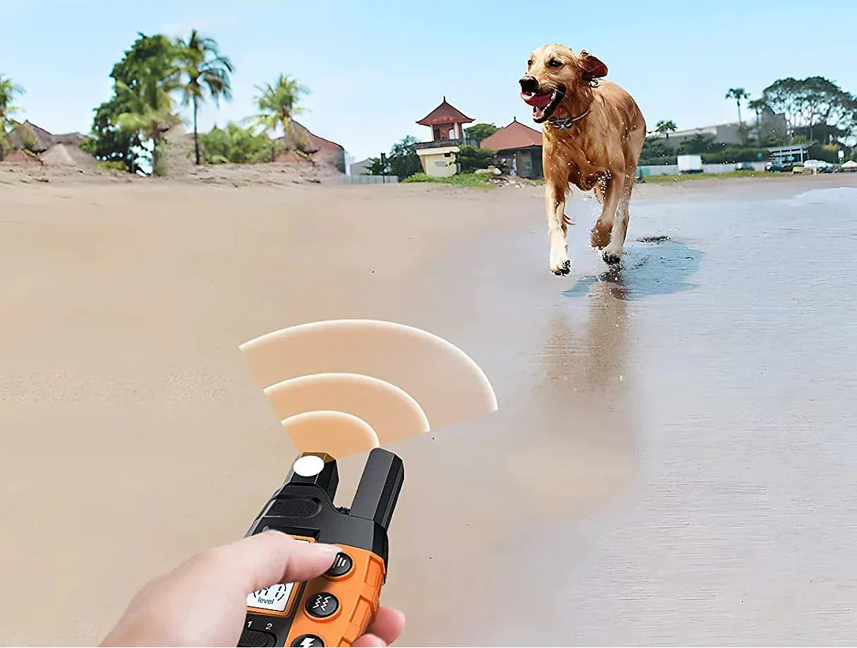 NovaPace Remote Dog Training Collar 1000m Waterproof Rechargeable - Image 2