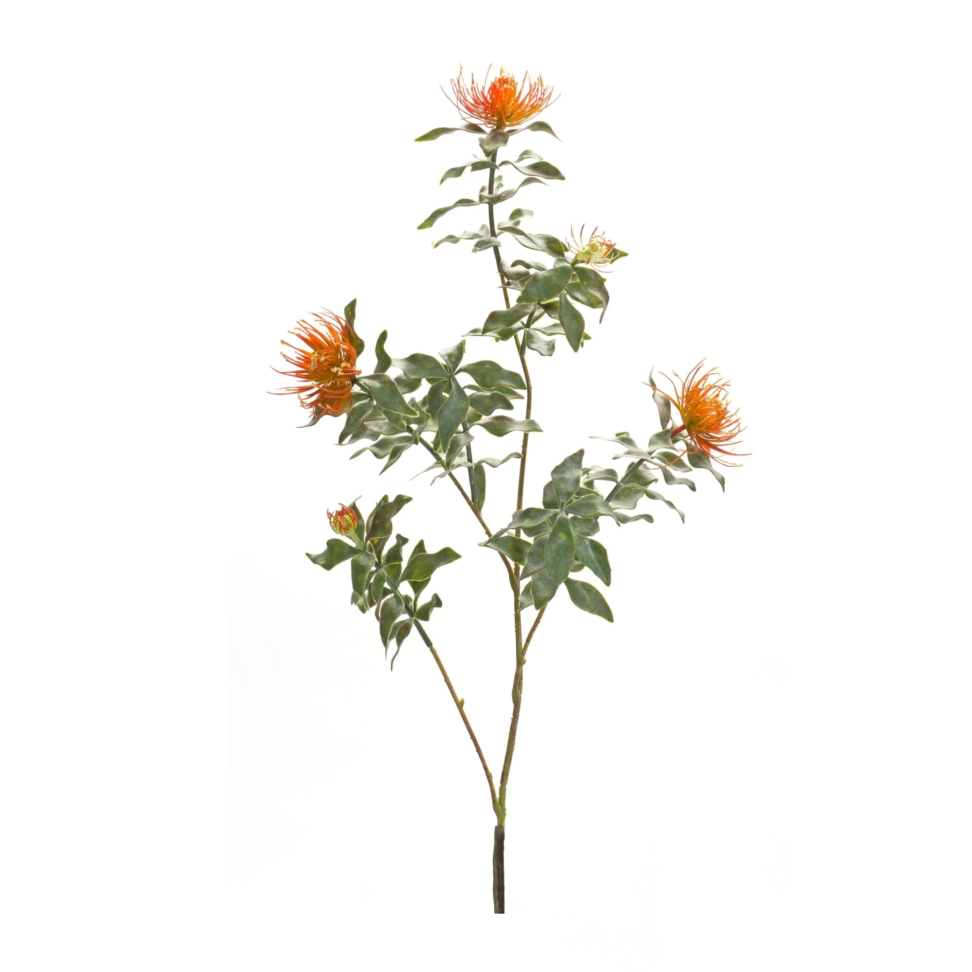 Orange Flocked Protea Spray (Set of 6) - Image 2