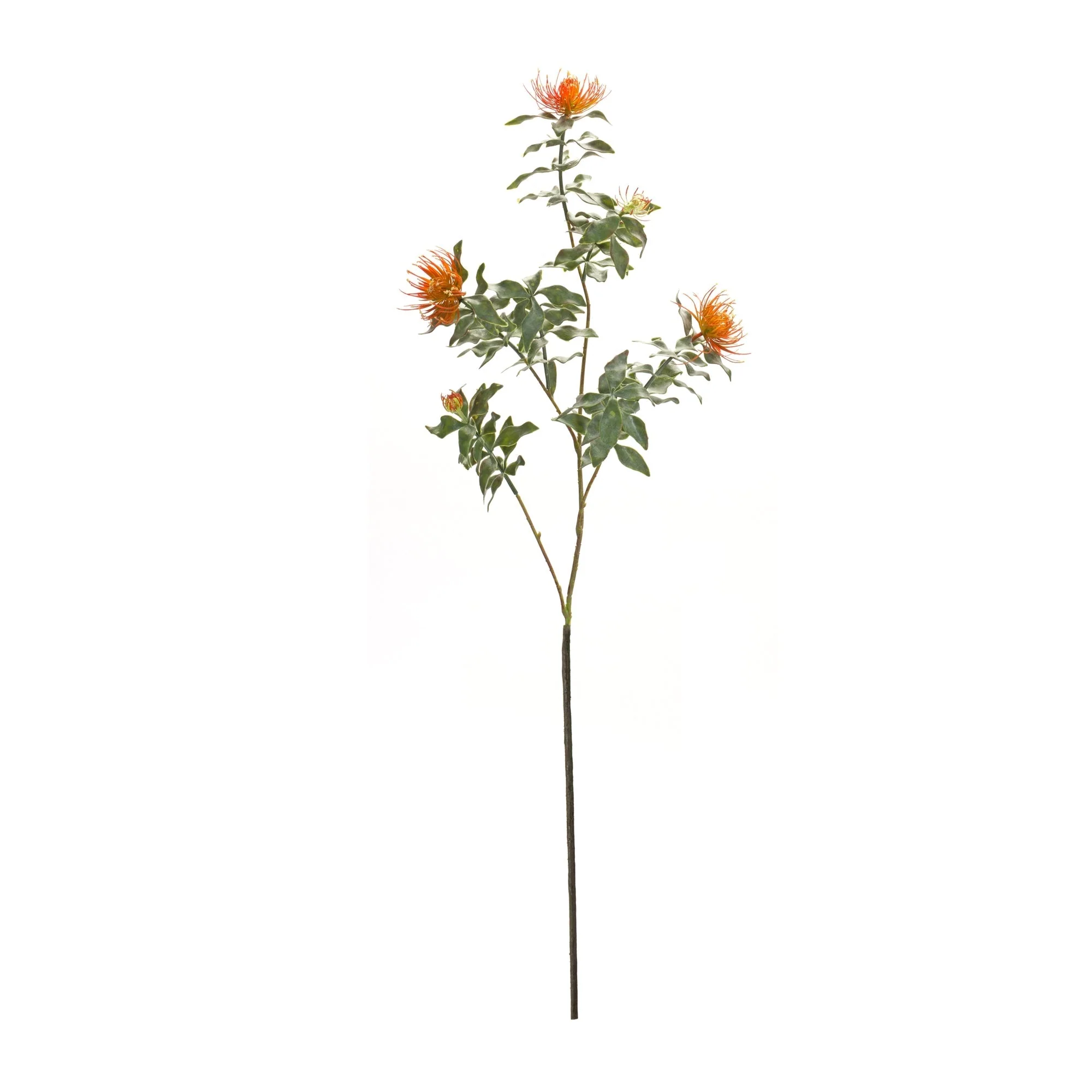 Orange Flocked Protea Spray (Set of 6) - Image 3