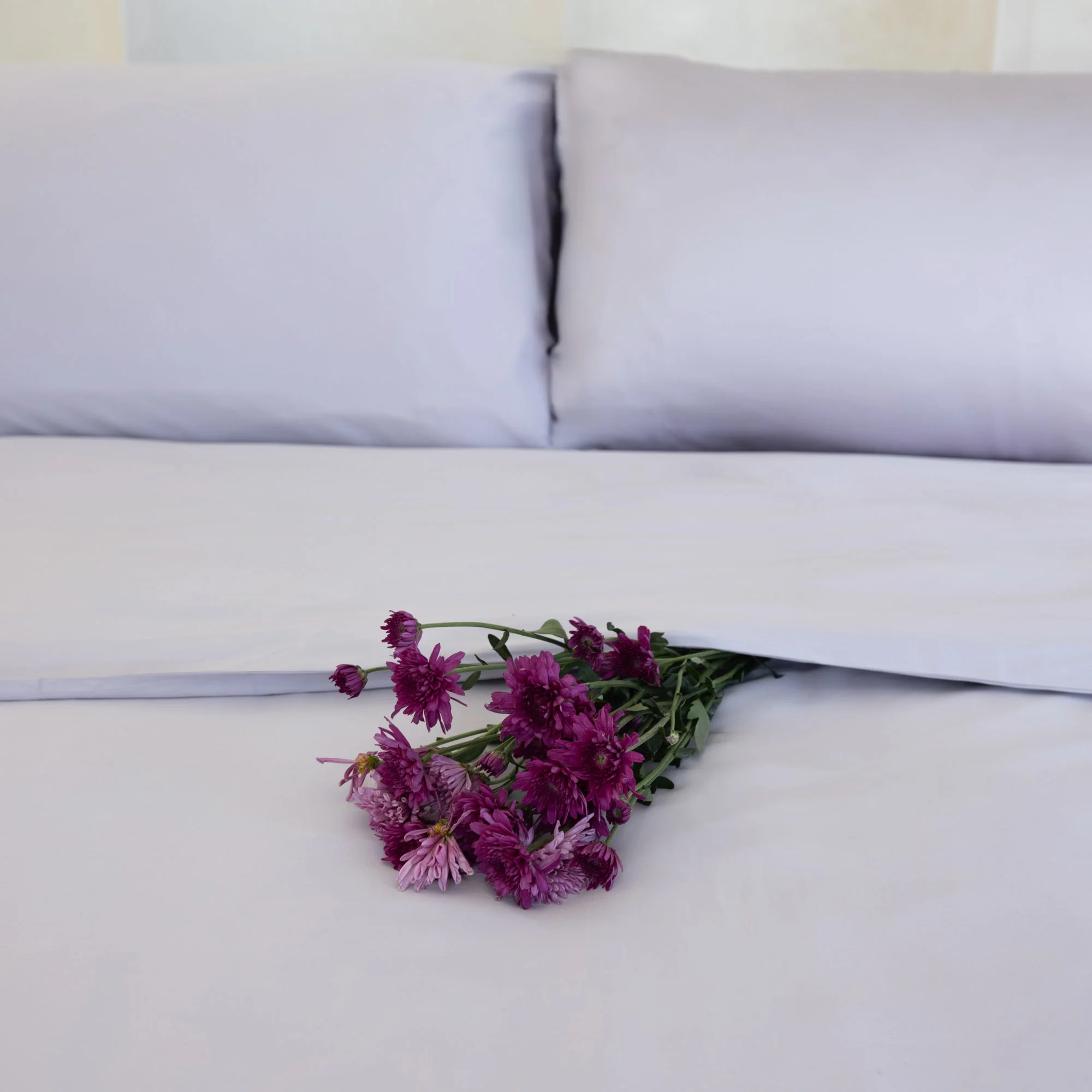 Organic Bamboo Sateen Bed Sheet Set - Image 34