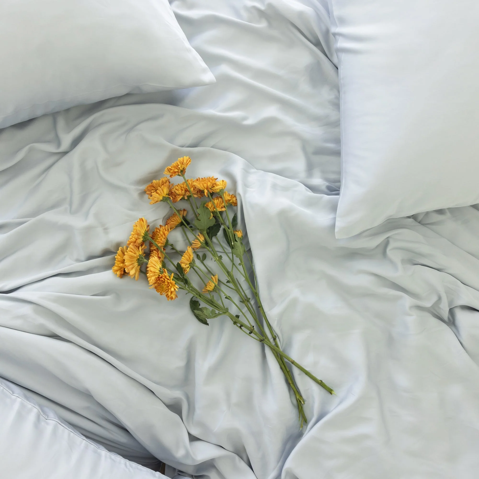 Organic Bamboo Sateen Bed Sheet Set - Image 37