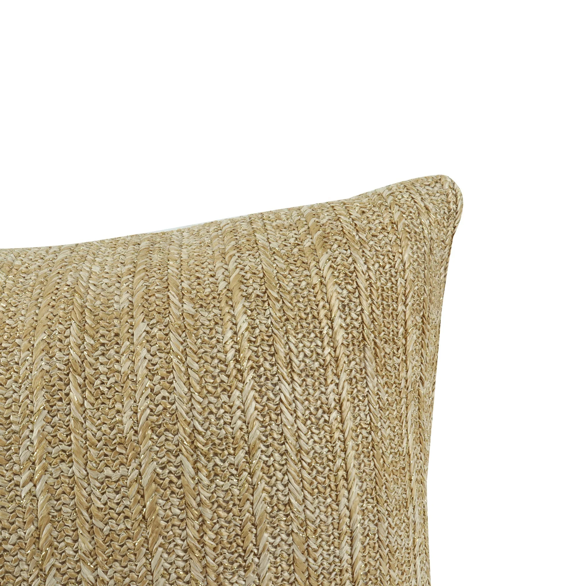 Outdoor/Indoor Decorative Throw Pillows with Inserts (Set of 2) - Image 6