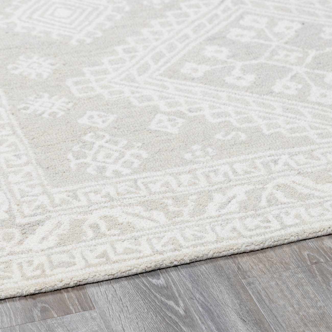 Paloma Area Rug - Image 8