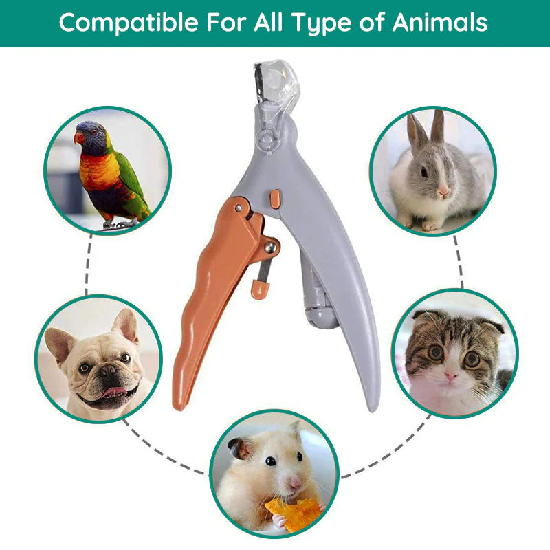 PawGuard Pro Dog Nail Clippers with Safety Sensor Stainless Steel - Image 9