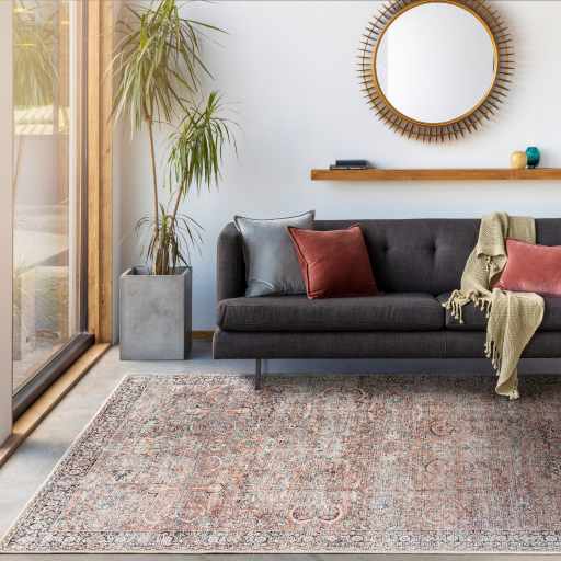 Peach Noda Vintage Washable Area Rug - Clearance - Image 2