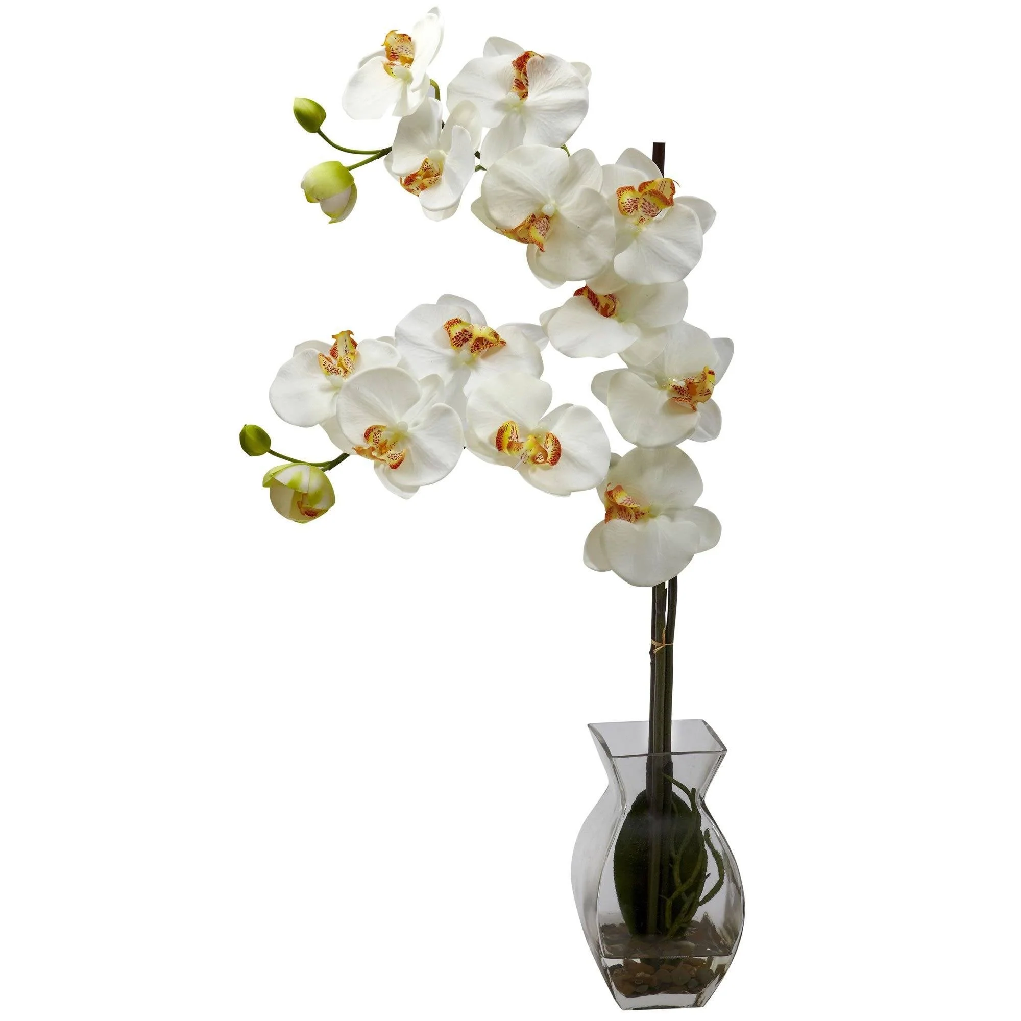 Phalaenopsis Orchid w/Vase Arrangement - Image 2