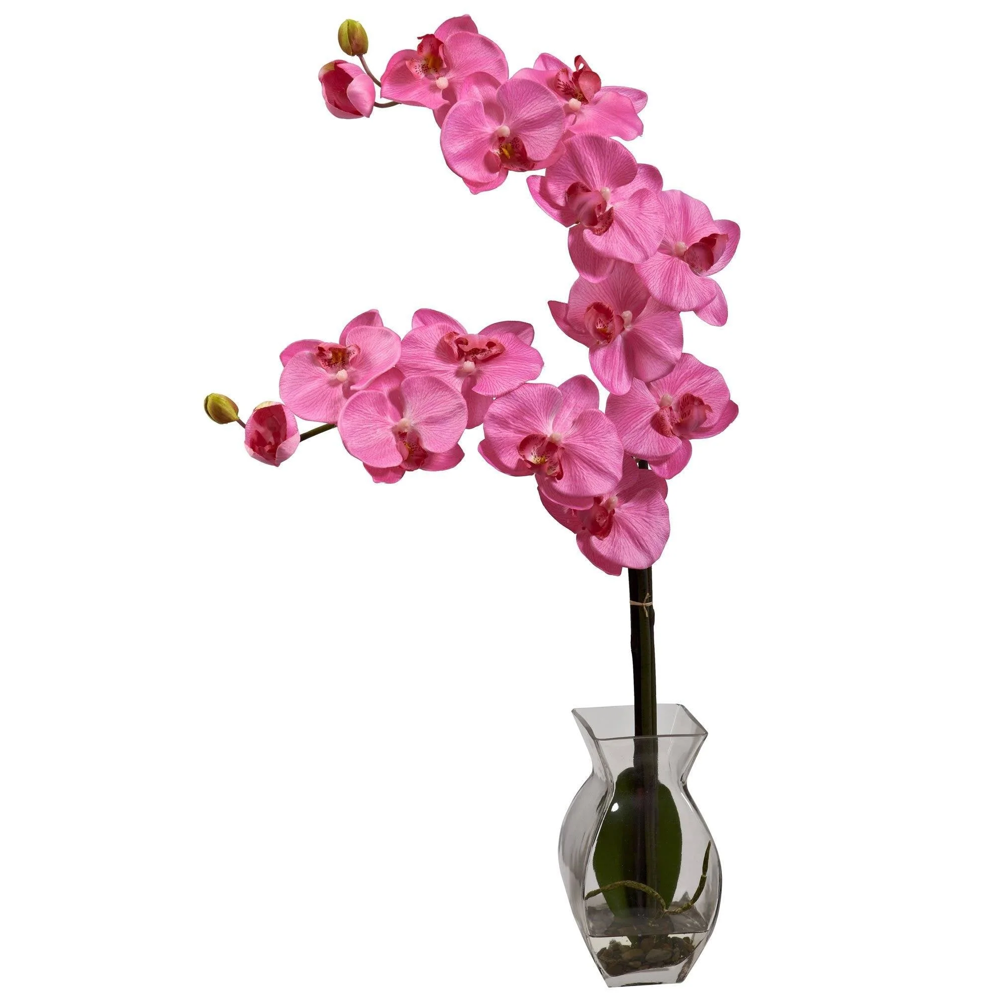 Phalaenopsis Orchid w/Vase Arrangement - Image 3