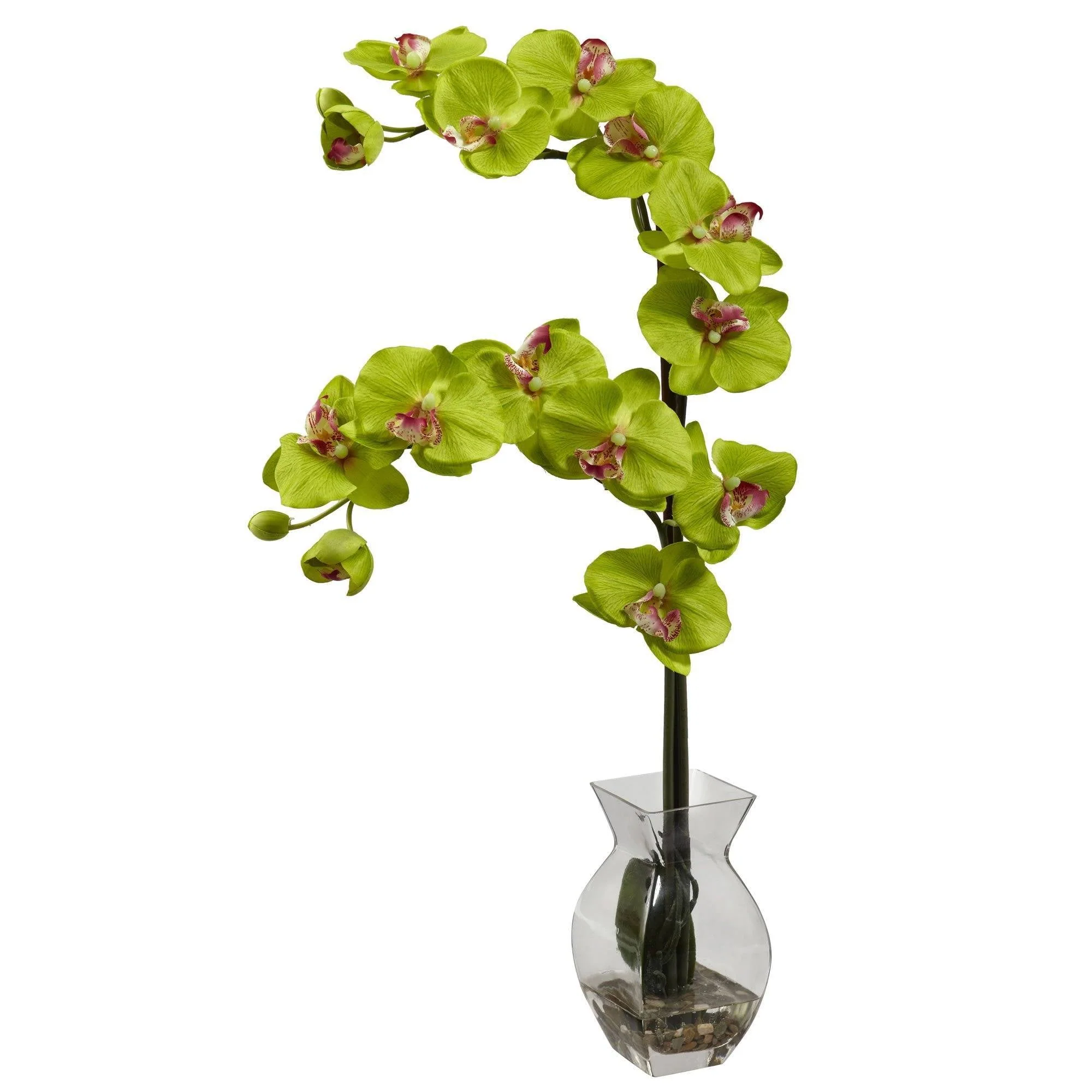 Phalaenopsis Orchid w/Vase Arrangement - Image 4