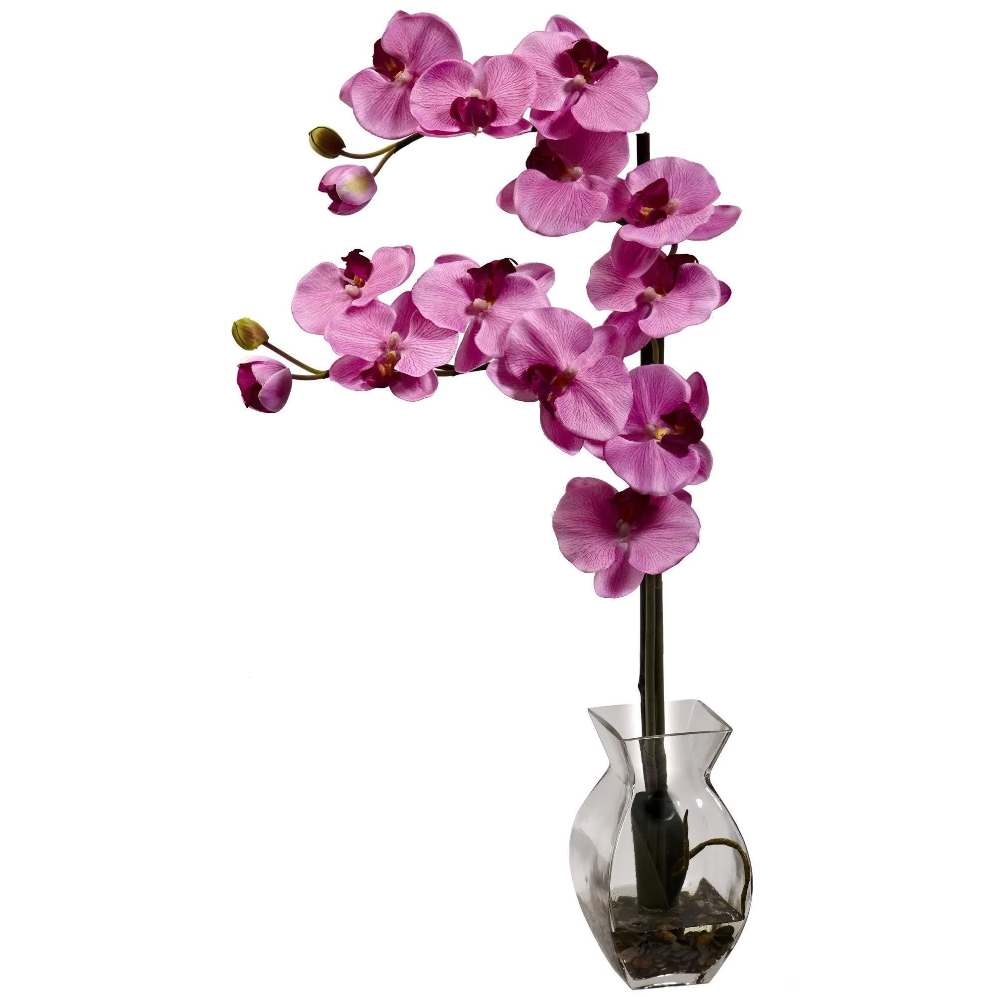 Phalaenopsis Orchid w/Vase Arrangement - Image 5