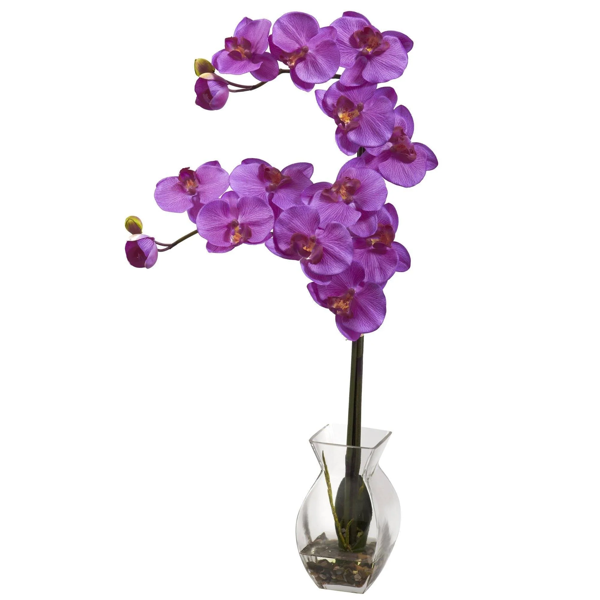 Phalaenopsis Orchid w/Vase Arrangement - Image 6