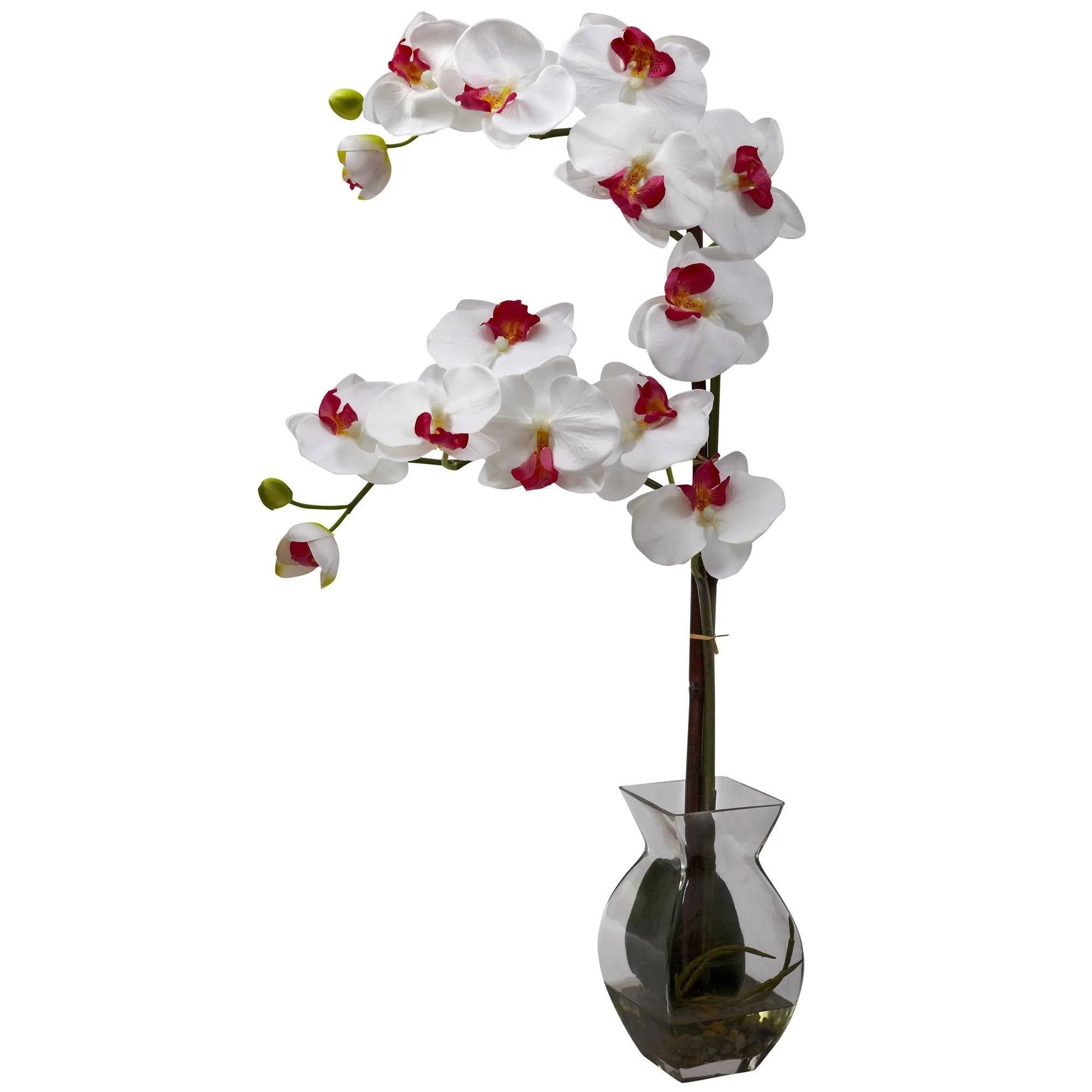 Phalaenopsis Orchid w/Vase Arrangement - Image 7