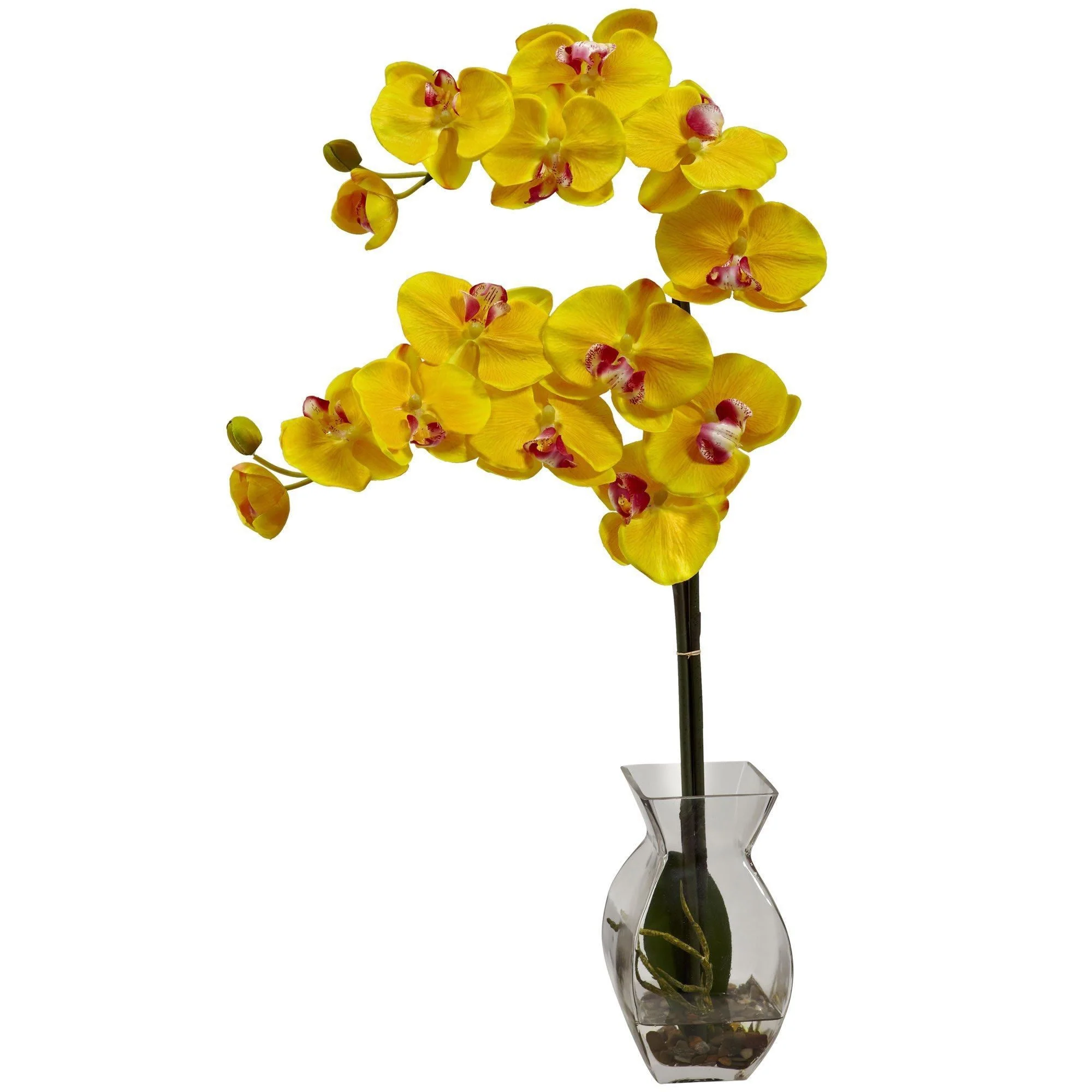 Phalaenopsis Orchid w/Vase Arrangement - Image 8