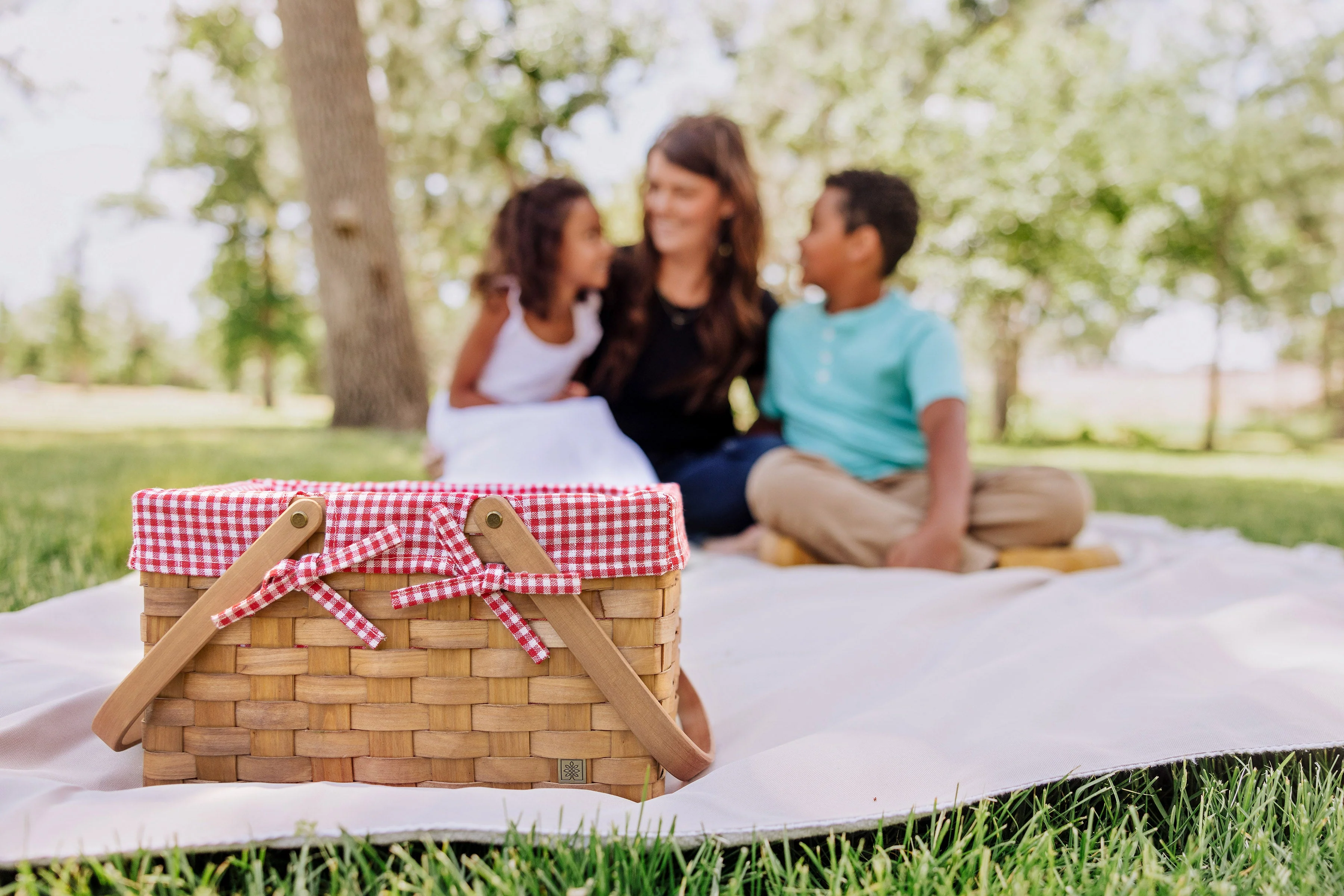 Piccola Picnic Basket - Image 12