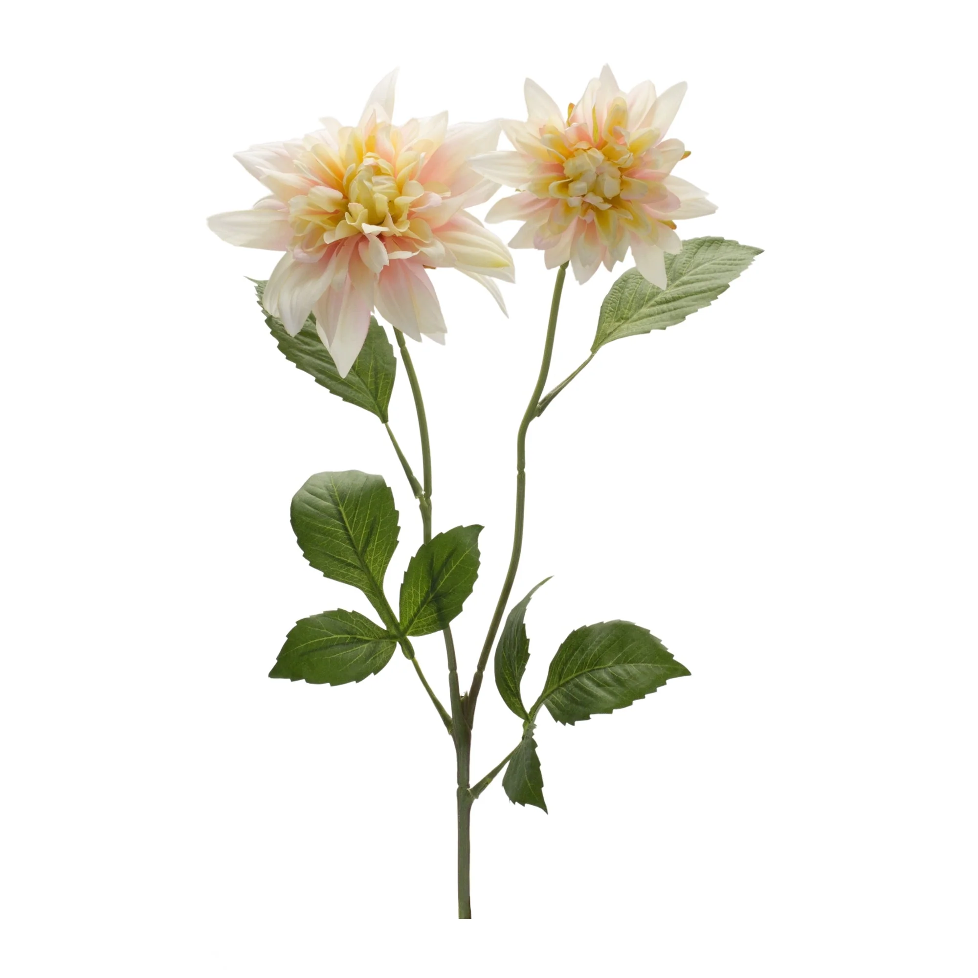 Pink dahlia flower stem (set of 6) - Image 2
