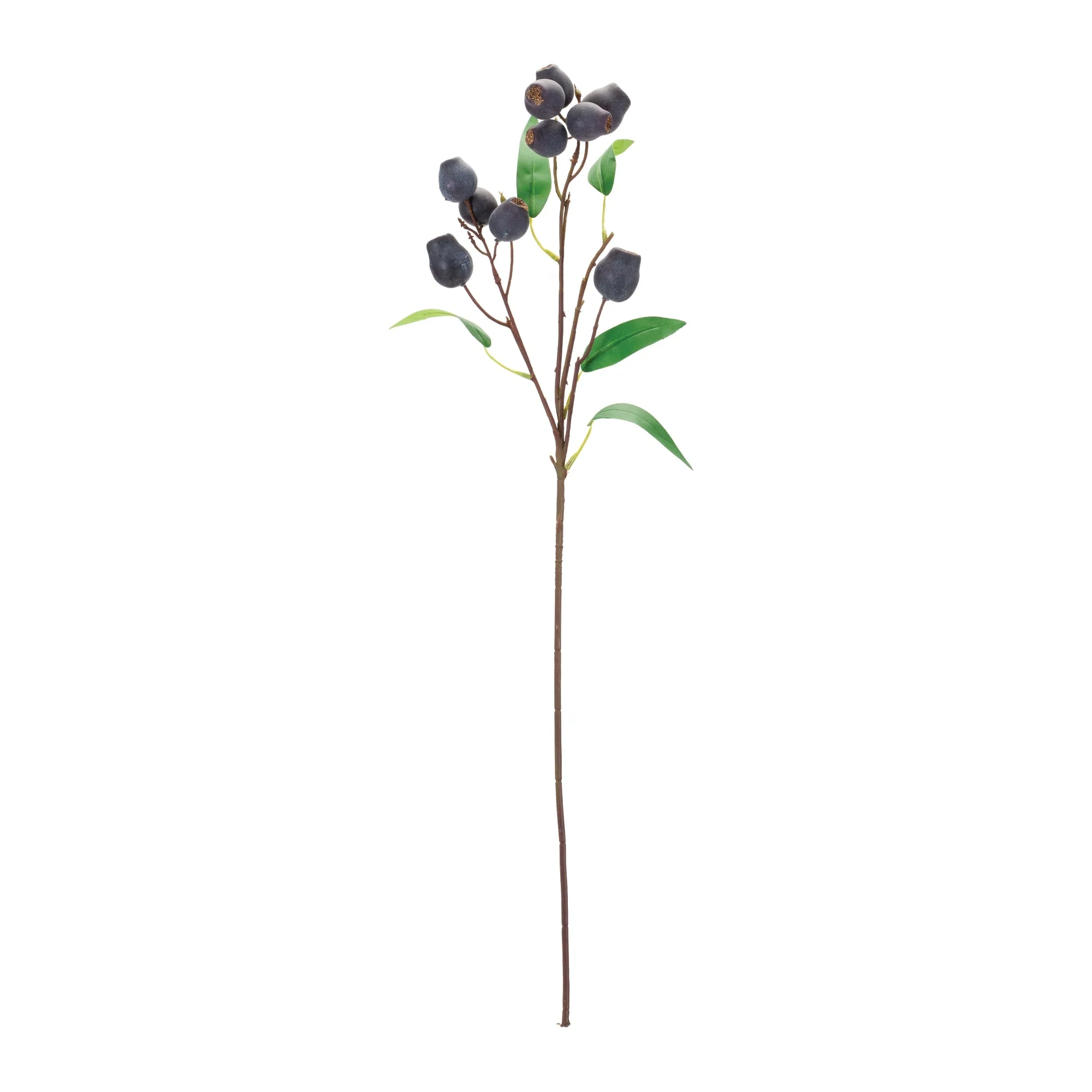 Plum Pod Spray (Set of 6) - Image 2