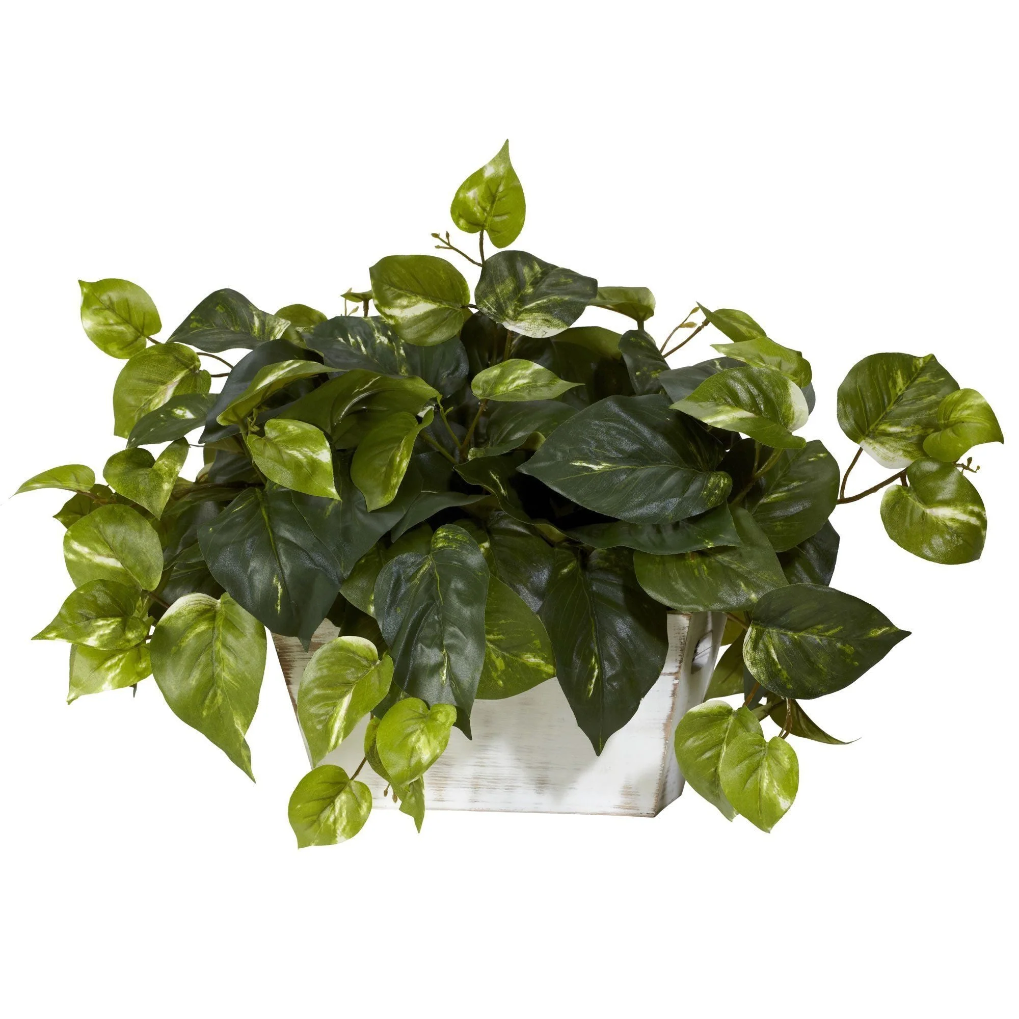 Pothos w/White Wash Planter Silk Plant - Image 2