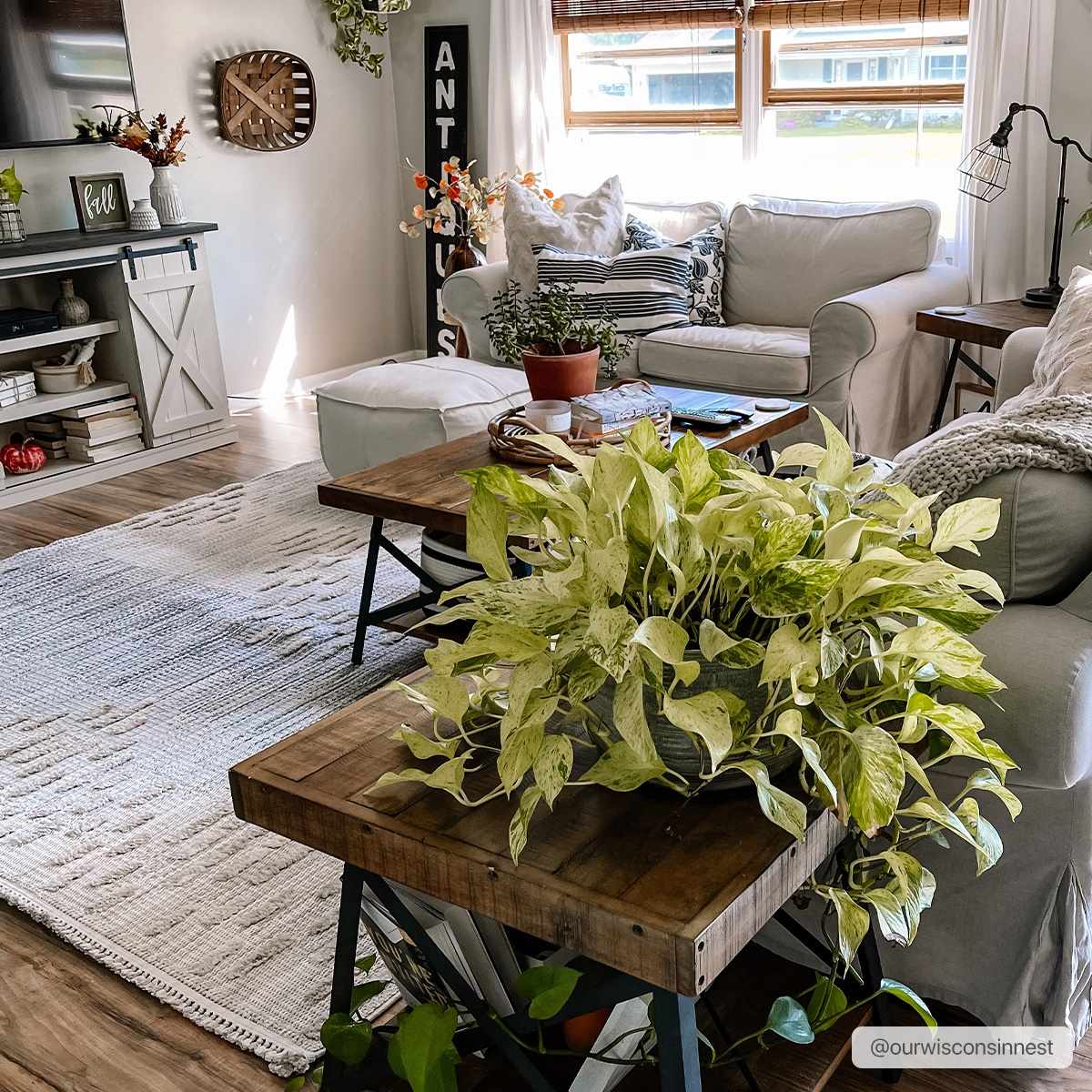 Poydras High-Low Rustic Rug - Image 3
