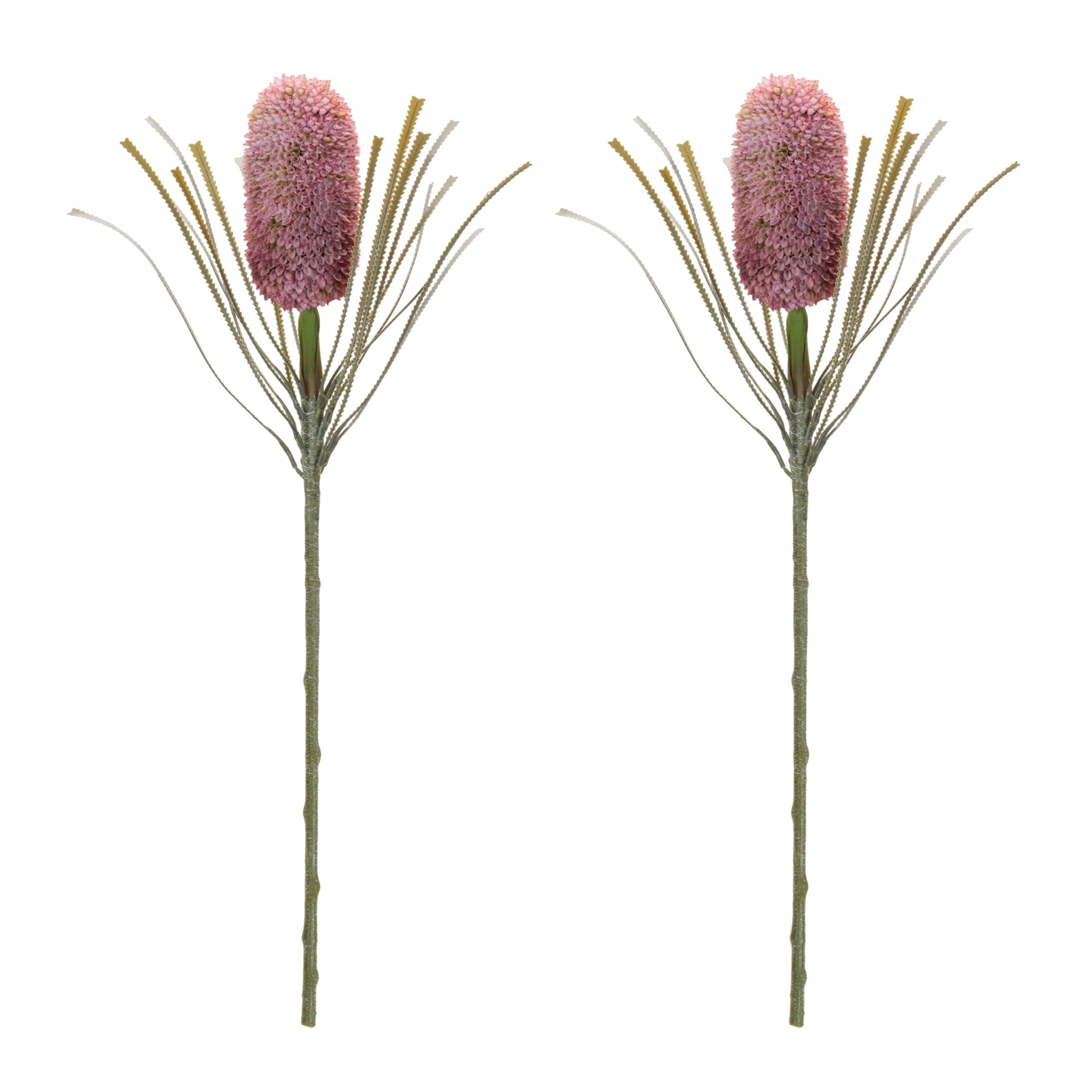 Protea Floral Stem (Set of 2) - Image 2