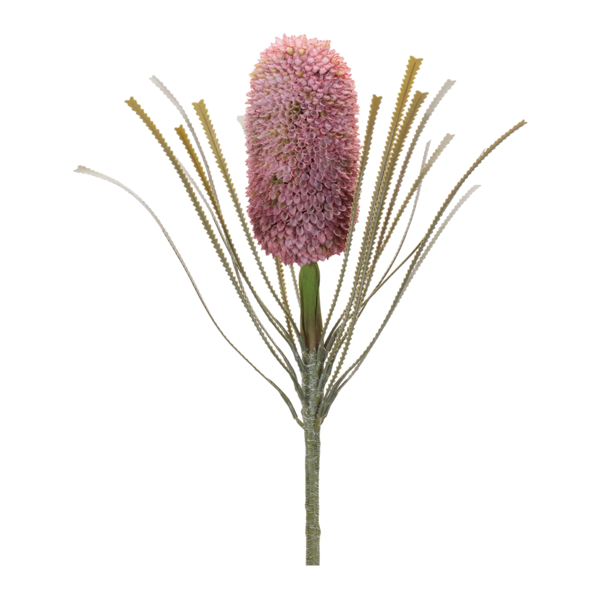 Protea Floral Stem (Set of 2) - Image 3