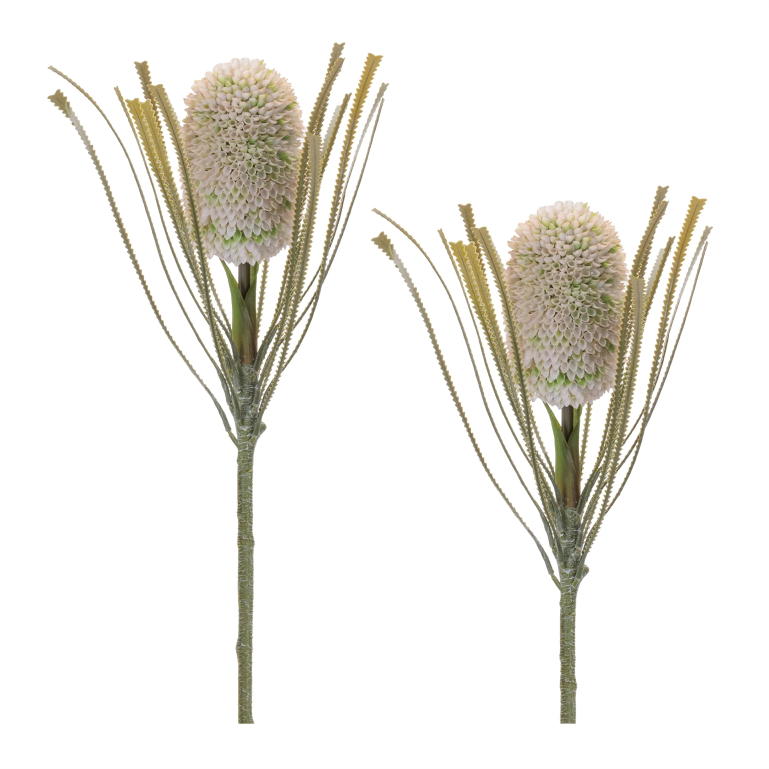 Protea Floral Stem (Set of 2) - Image 4