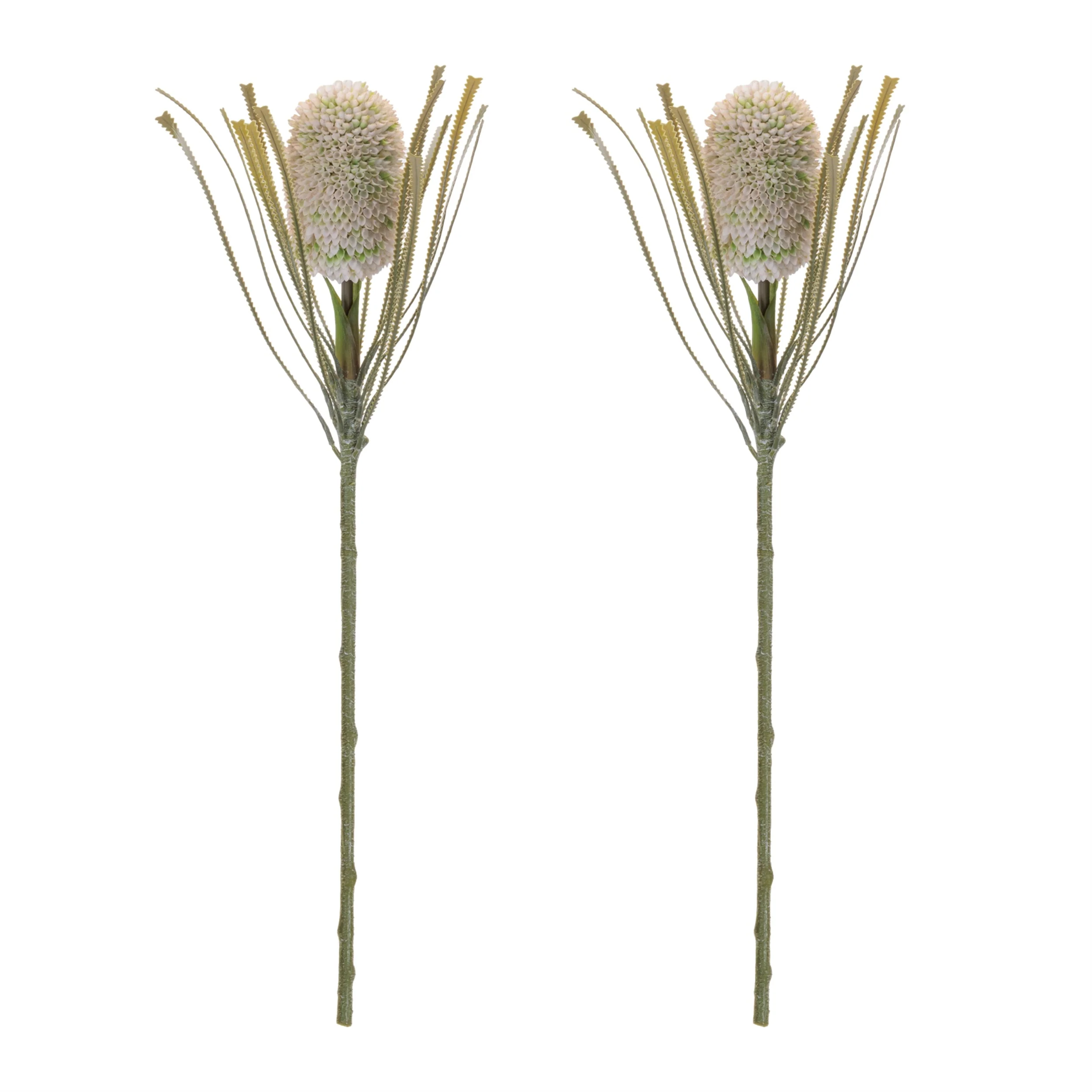 Protea Floral Stem (Set of 2) - Image 5