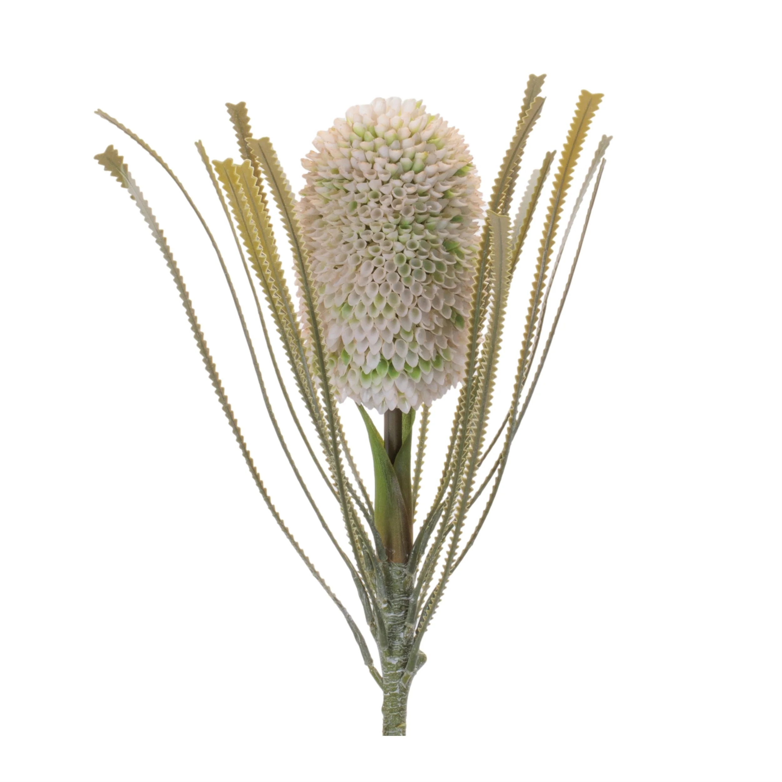 Protea Floral Stem (Set of 2) - Image 6