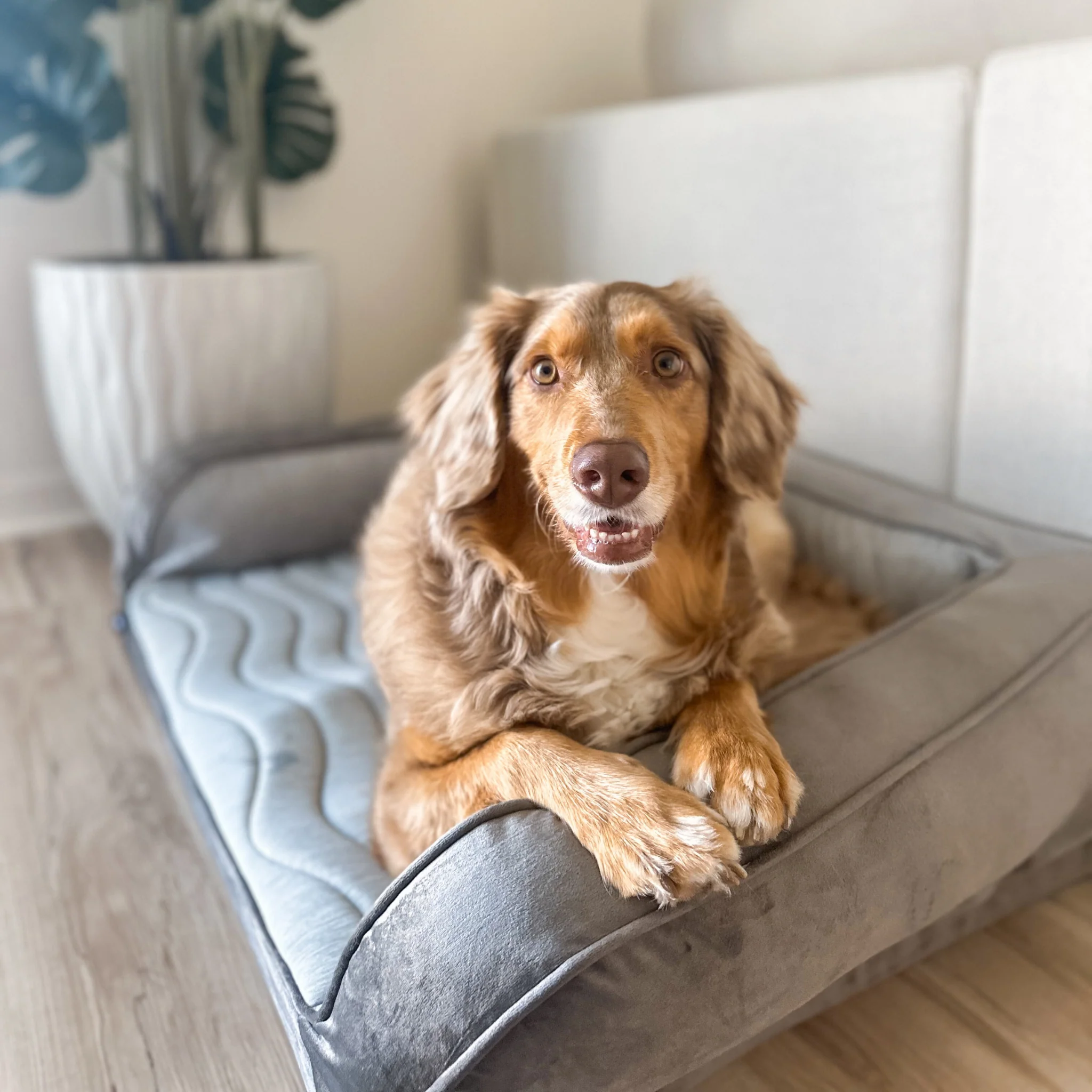 PupChill™ Cooling Bolster Dog Bed - Image 11